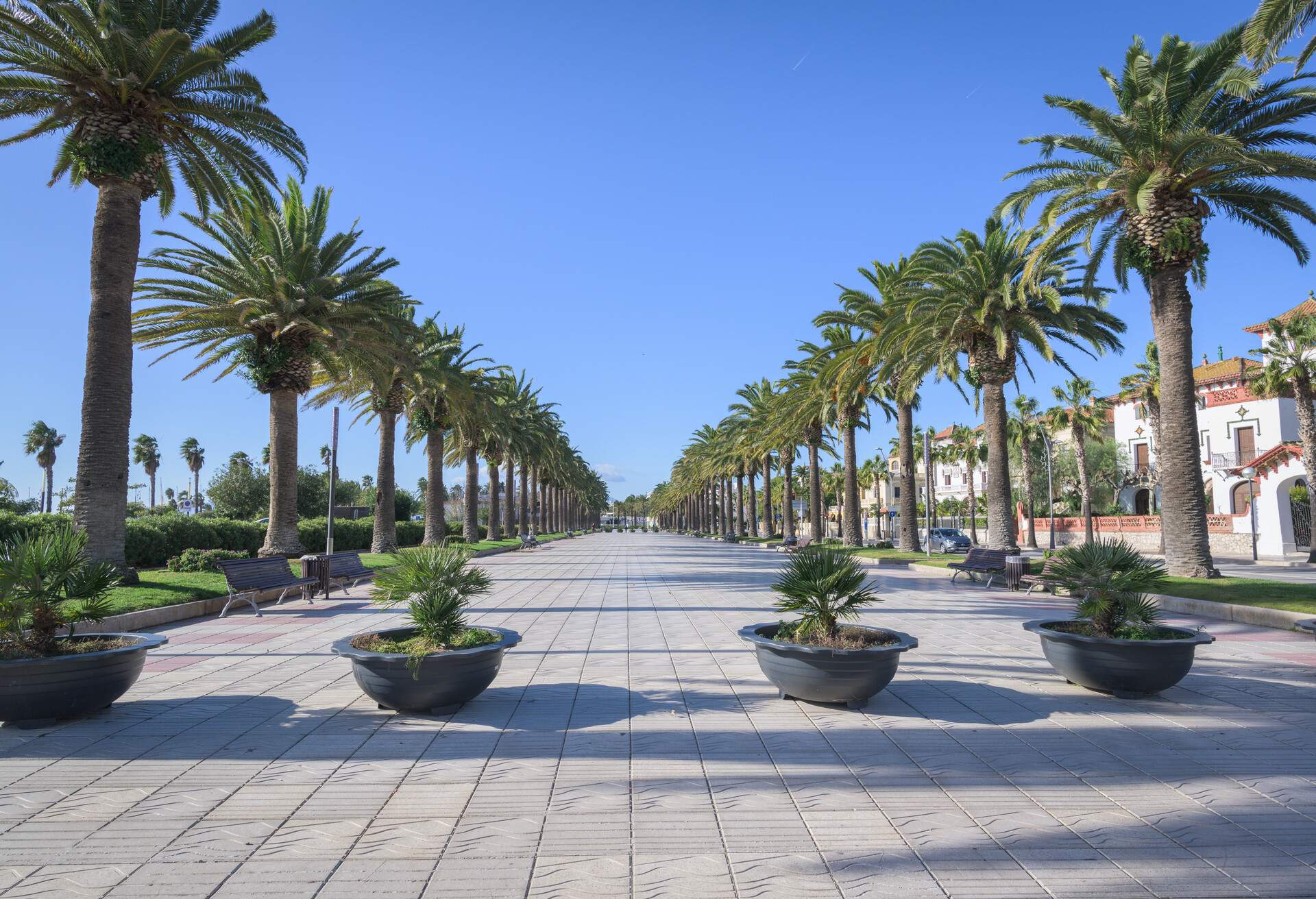 Sea promenade in Salou, Tarragona, Spain, plenty of palm trees in a sunny day