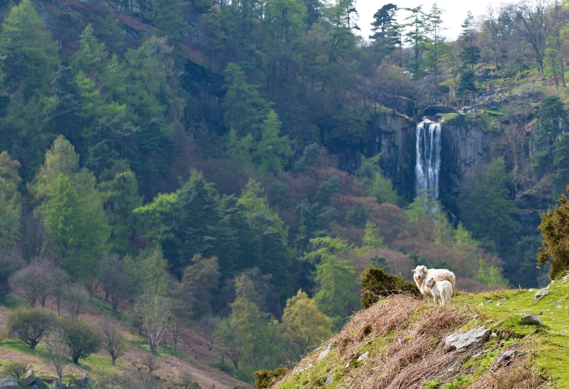 DEST_UK_WALES_WELSHPOOL_Pistyll Rhaeadr WATERFALL_GettyImages-172861912