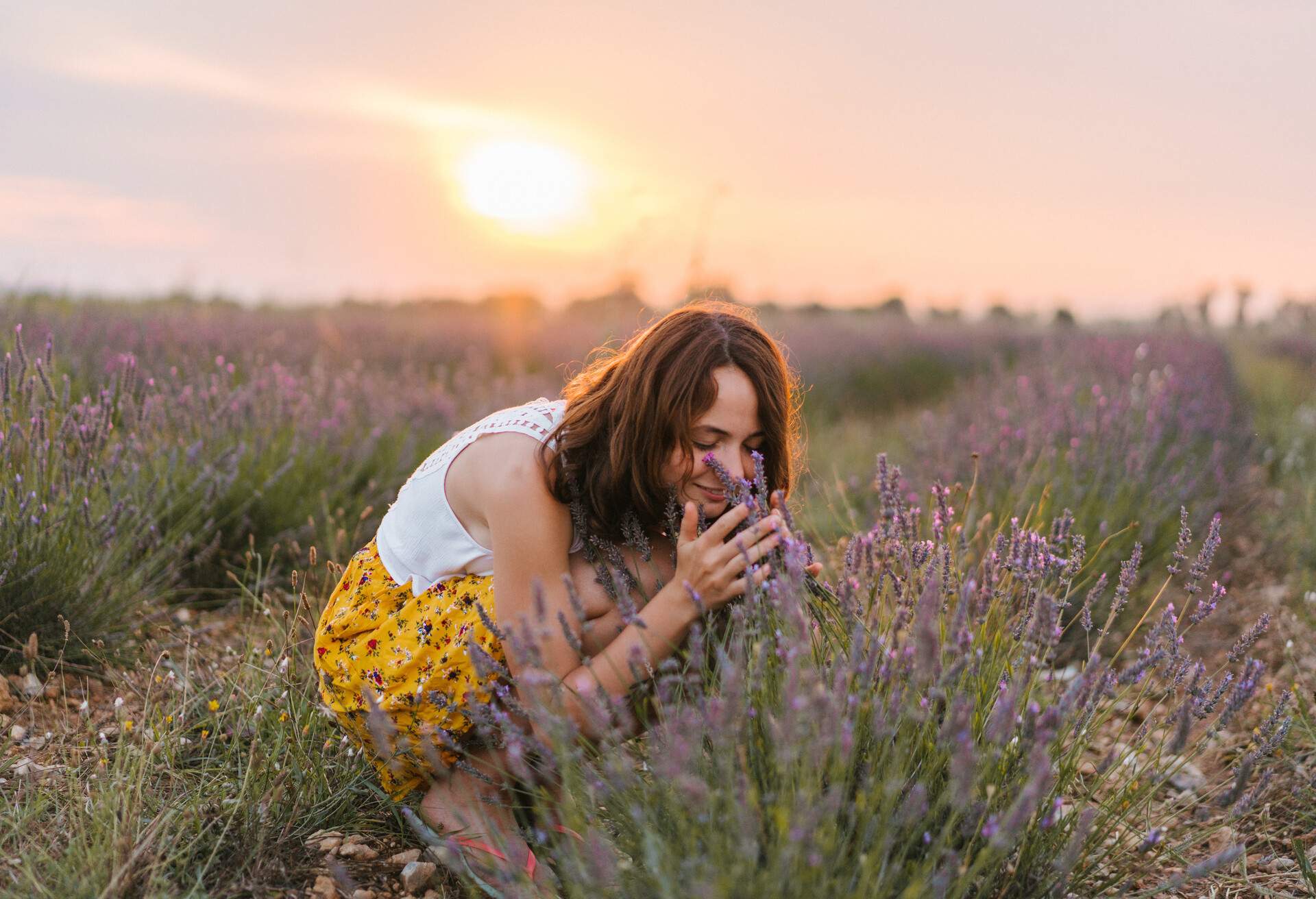 LAVENDER FIELD