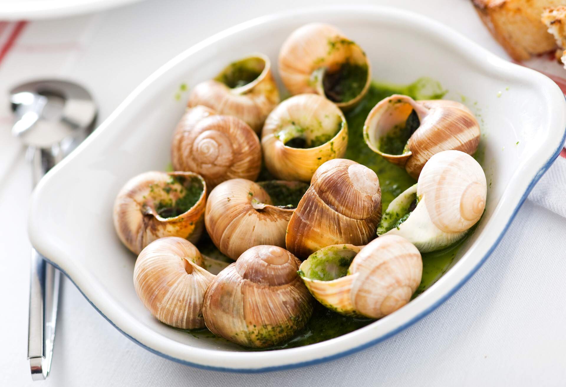 THEME_FOOD_Escargots_snails_GettyImages-105760957