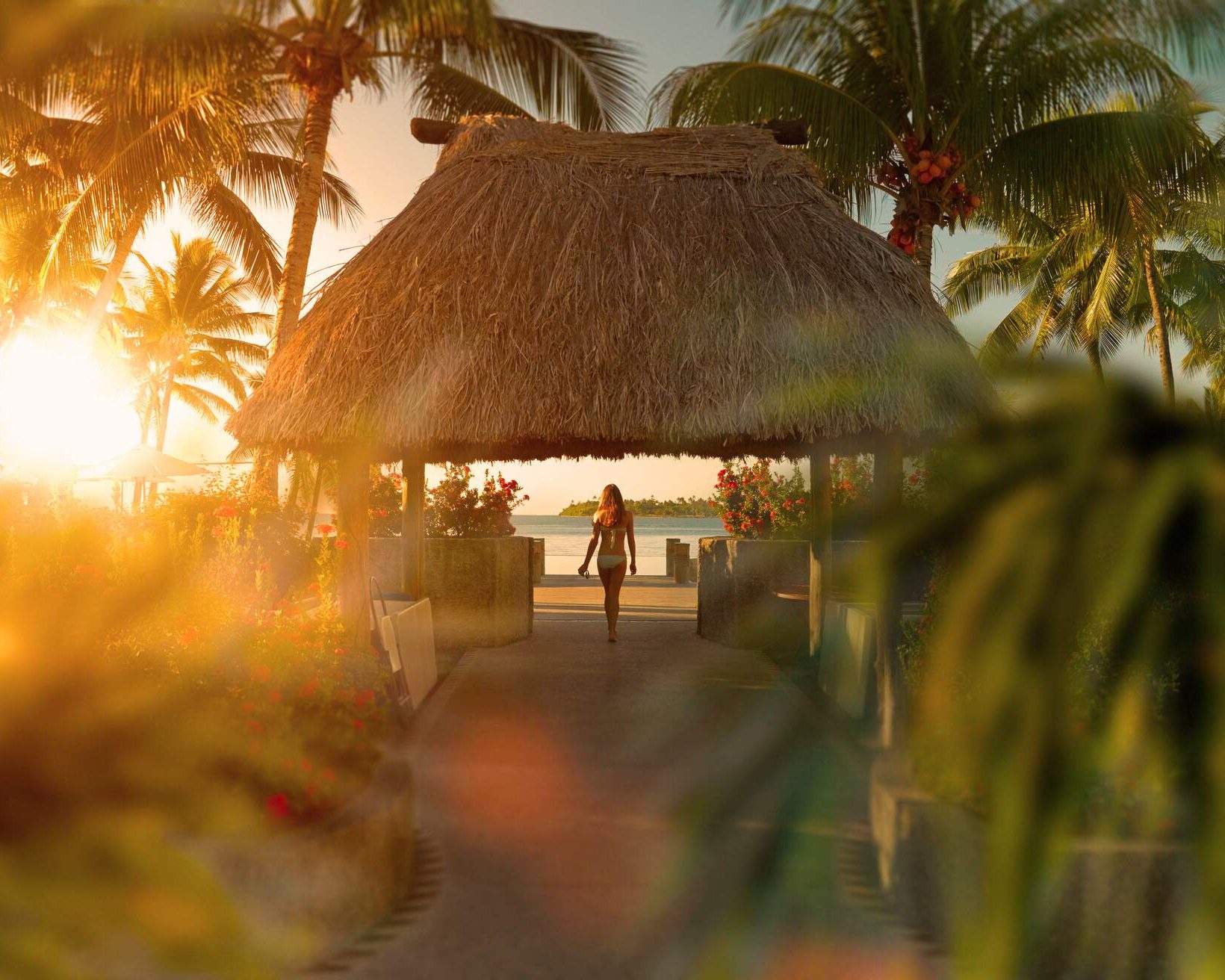 Where is hot in January 2024 KAYAK