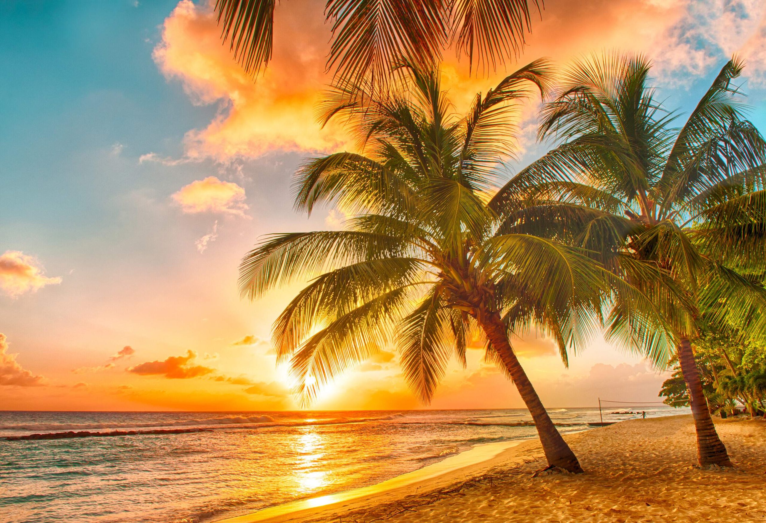 A breathtaking sunset over the sea, providing a picturesque view of palm trees swaying on the pristine white beach.