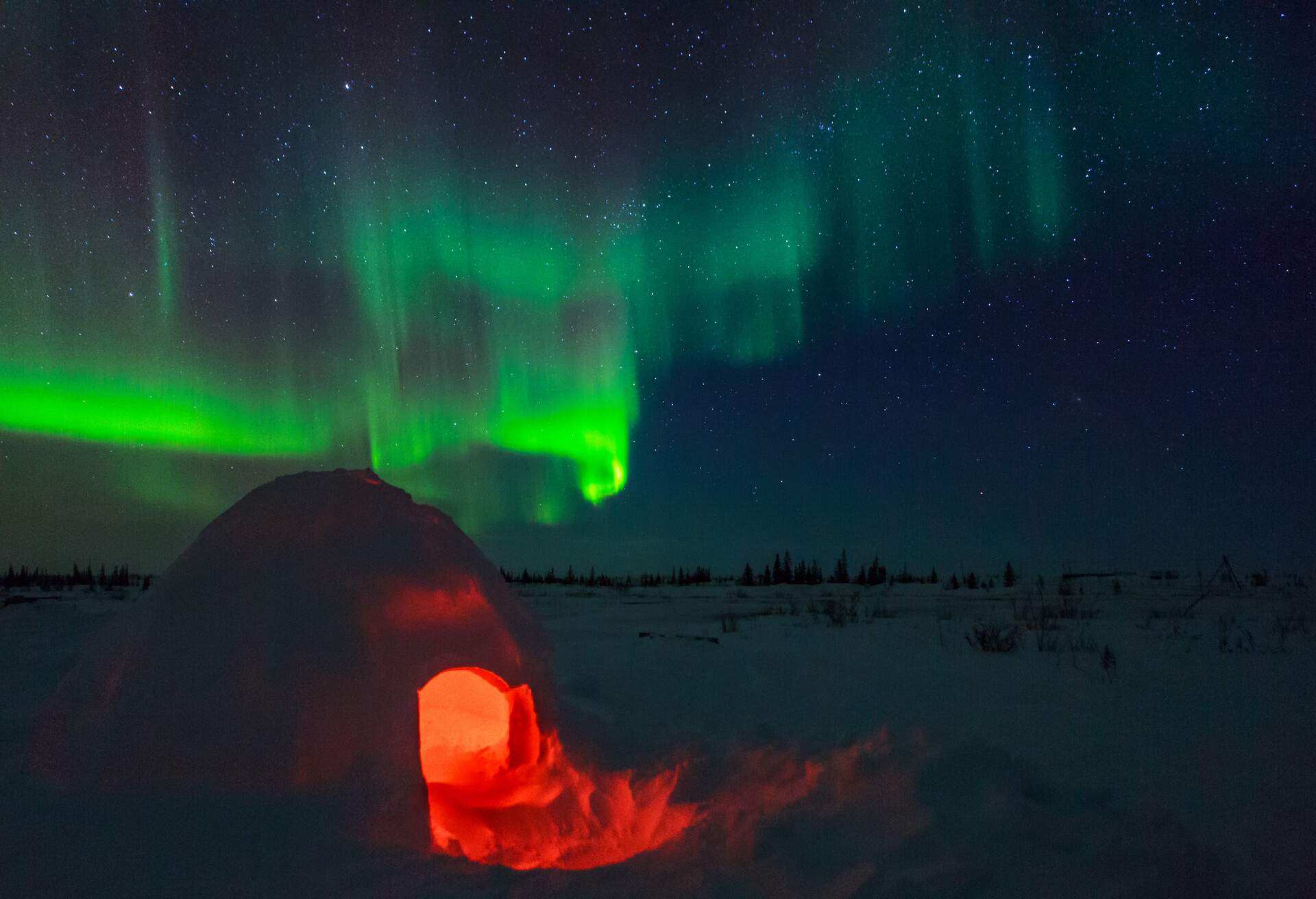 Curtain-like northern lights on a starry sky above the illuminated dome-shaped snow structure.