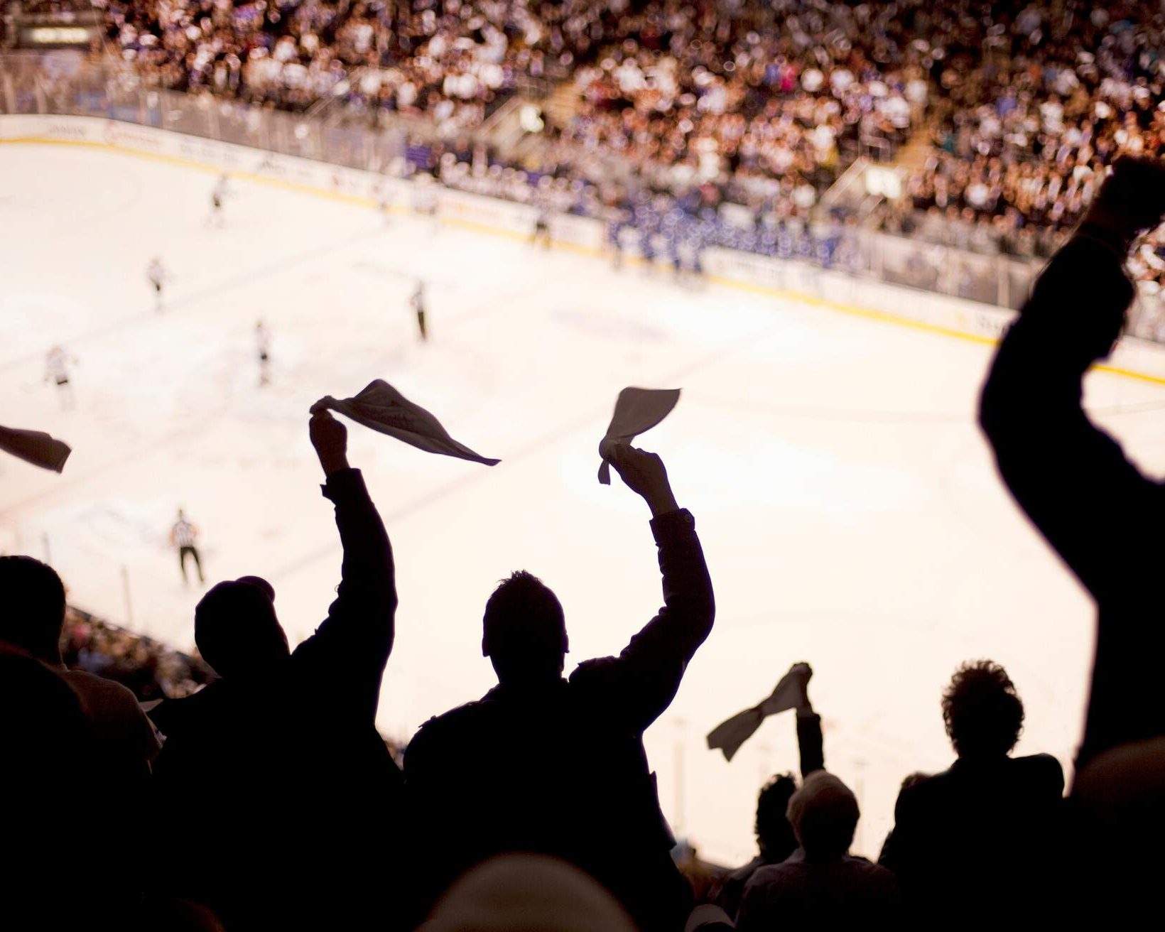 Things to do and see this winter in Canada KAYAK