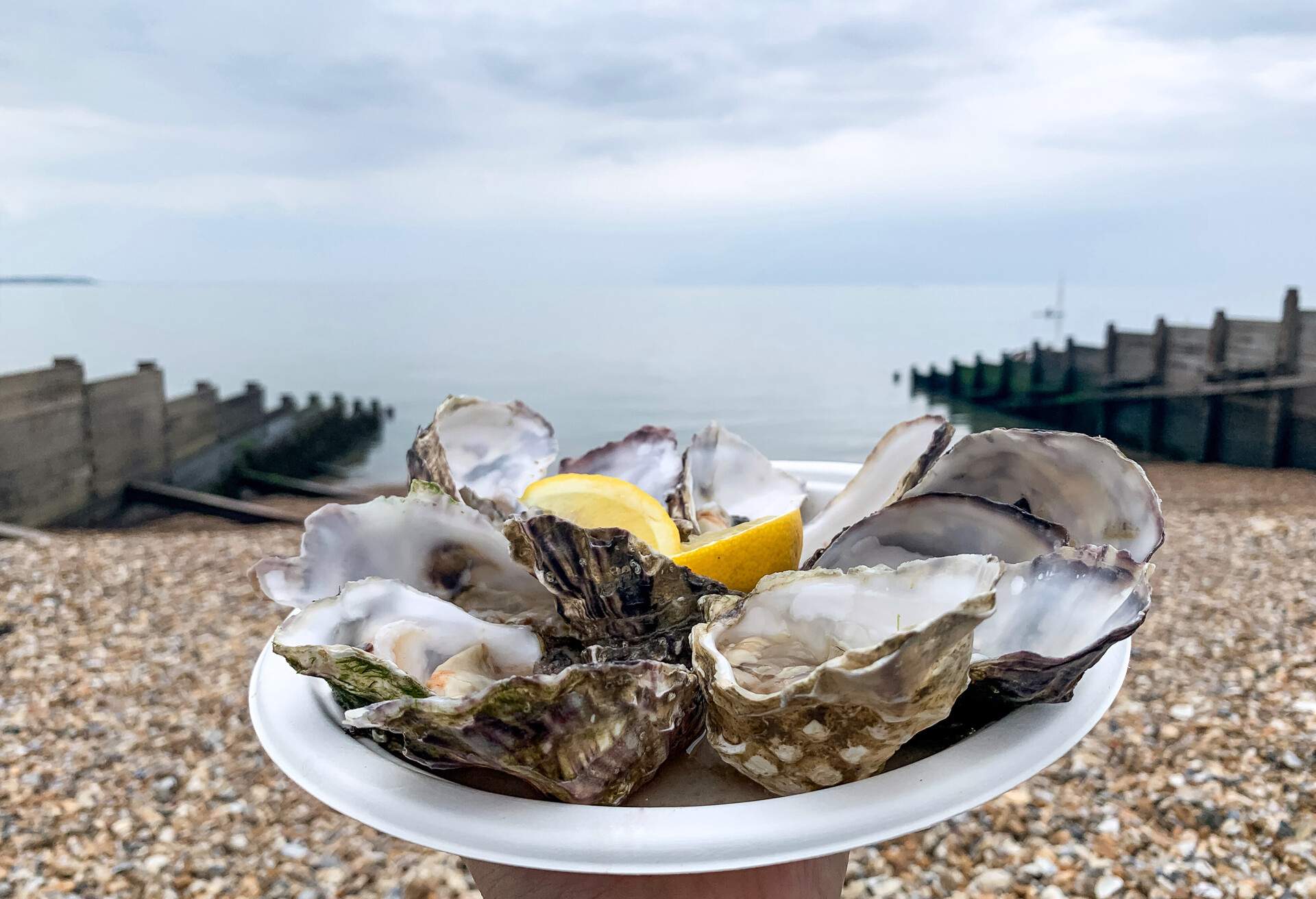 Picnic by the sea hand holding plate with dozen of fresh oysters lemon wedges twilight pebble beach. Take away food. Eating away.
