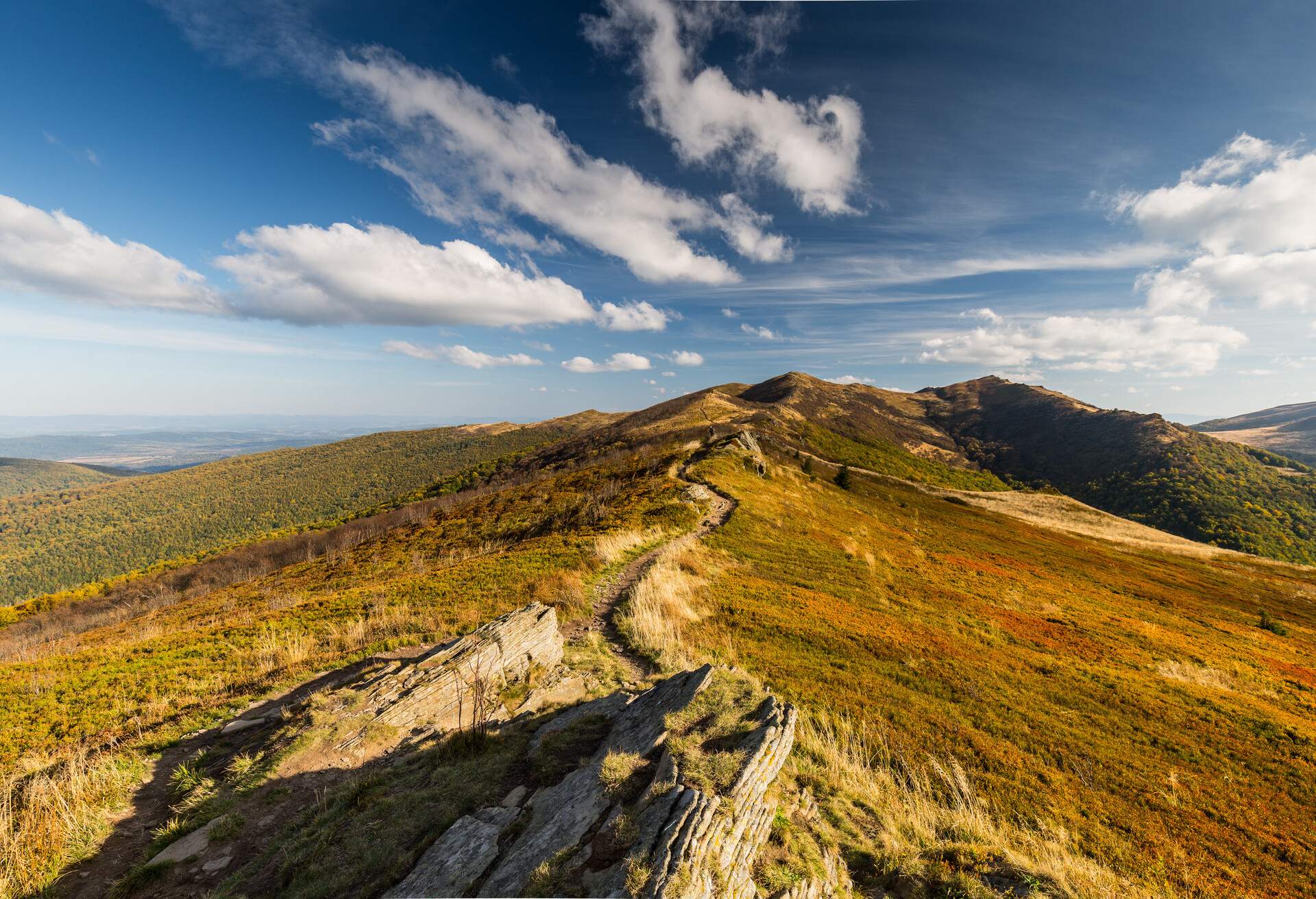 DEST_POLAND_WETLINA_Bieszczady-National-Park_shutterstock-portfolio_1072071356