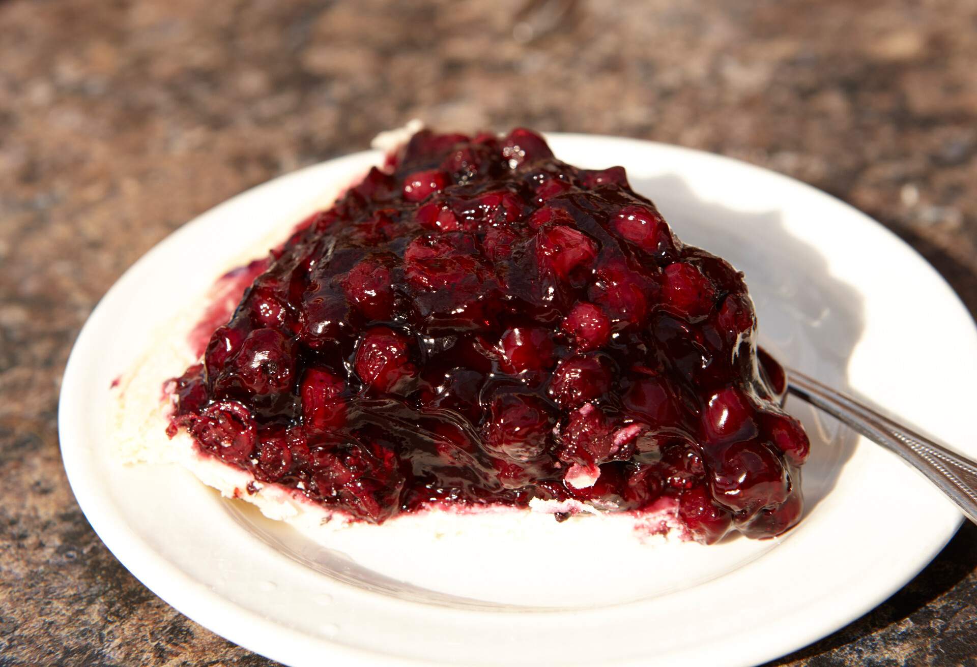 THEME_FOOD_DESSERT_CANADIAN_PIE_SASKATOON