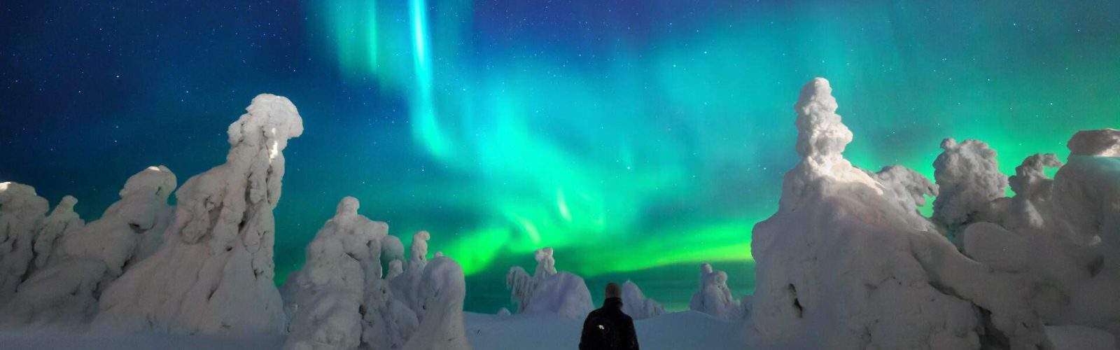 Top Places to see the Northern Lights around the Globe KAYAK