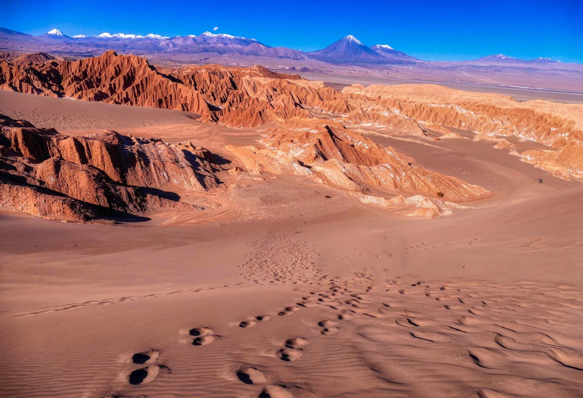 Atacama - Chile. Panoramic view of Atacama Desert with the Licancabur Volcano in the background