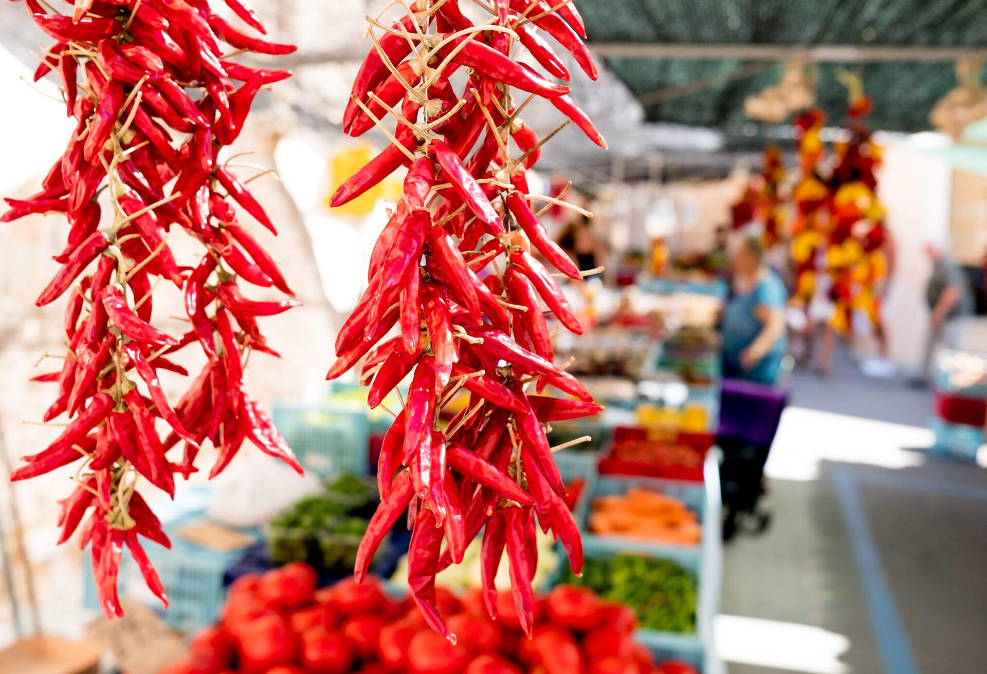 close up of red hor chili pepper hangin at organic farmers market stalls with people in background during sunny summer day