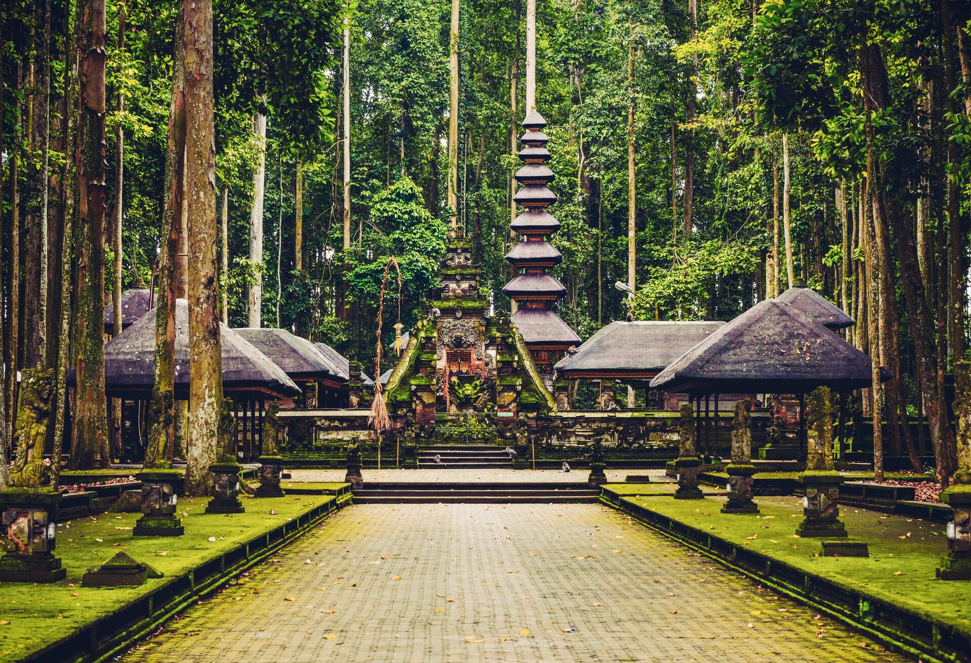 Sacred Monkey Forest Sanctuary in Ubud, Bali, Indonesia. 