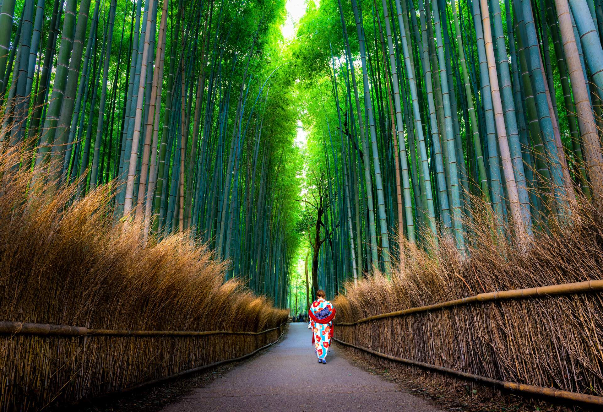 DEST_JAPAN_KYOTO PREFECTURE_KYOTO_ARASHIYAMA_shutterstock-premier_634413047