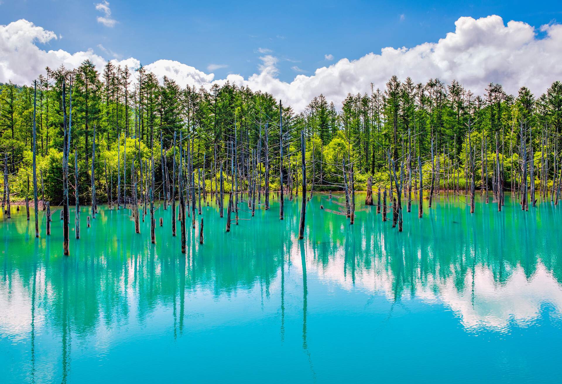 DEST_JAPAN_SHIROGANE_BLUE_POND_GettyImages-1012886596