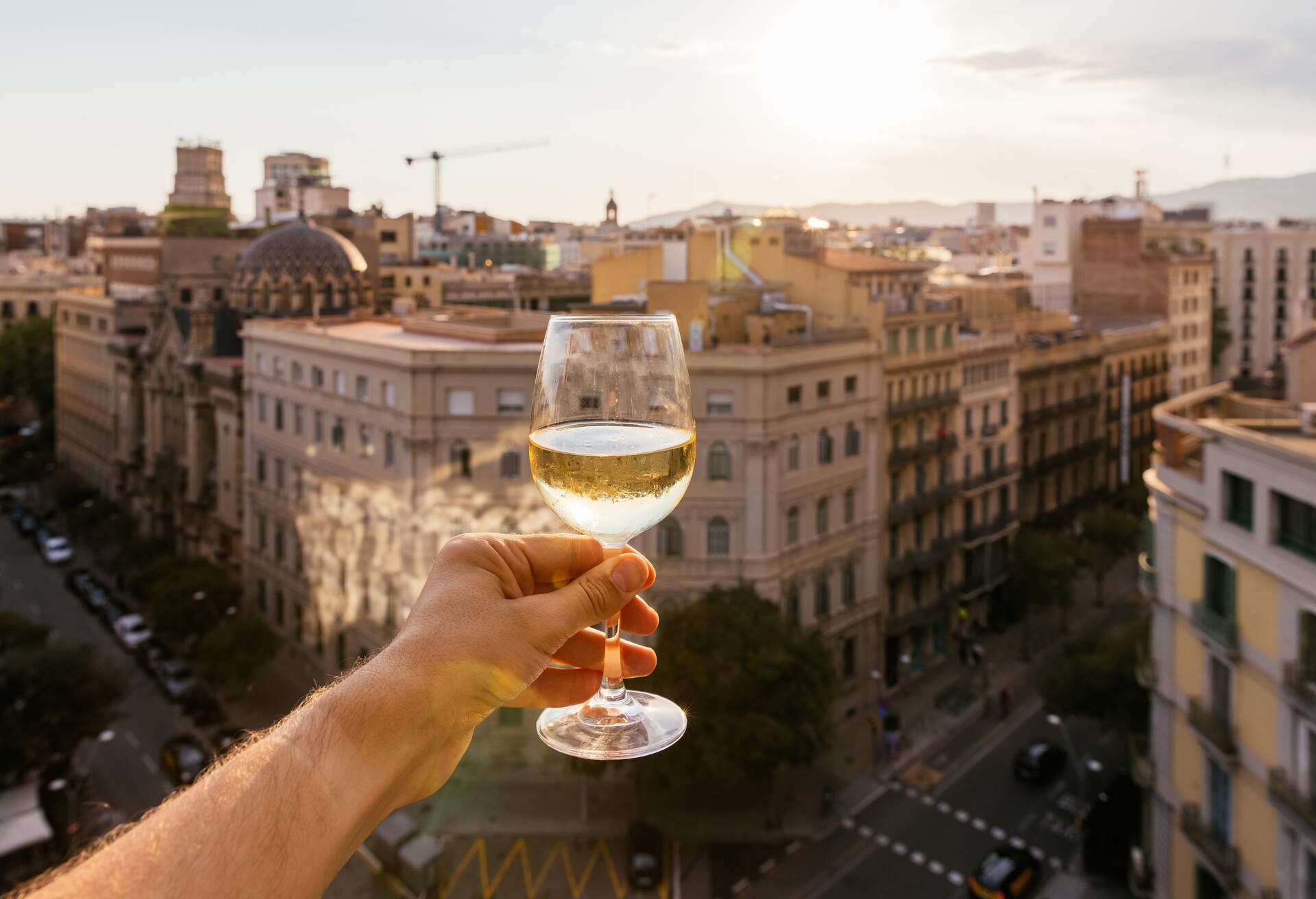 SPAIN_BARCELONA_ROOFTOP_DRINK_WINE