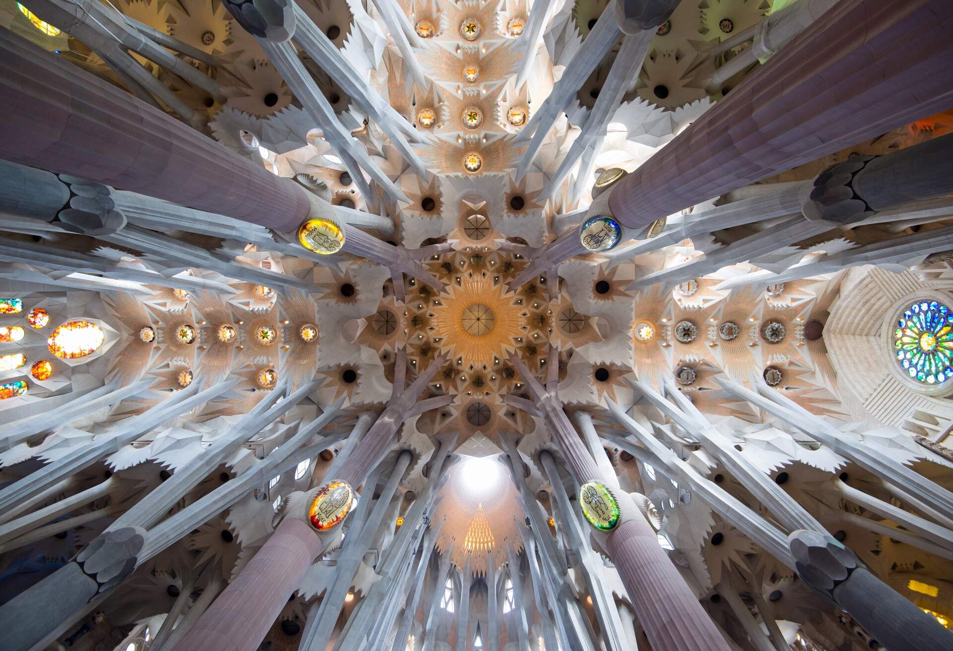 Digging into the intriguingly famous buildings in Barcelona | KAYAK