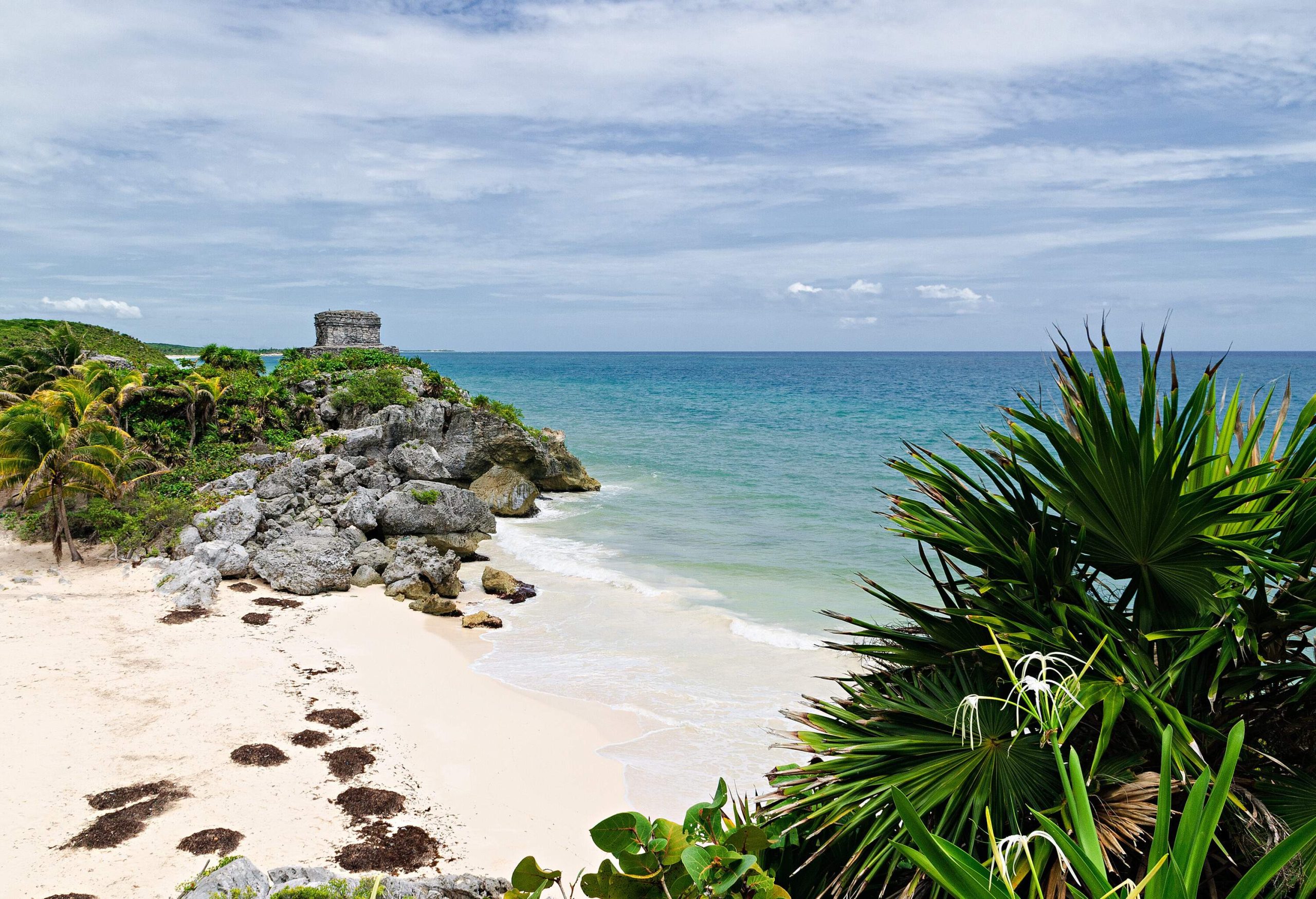 A hidden gem of a small beach with pristine white sand nestled between vibrant tropical plants and rugged rocks.