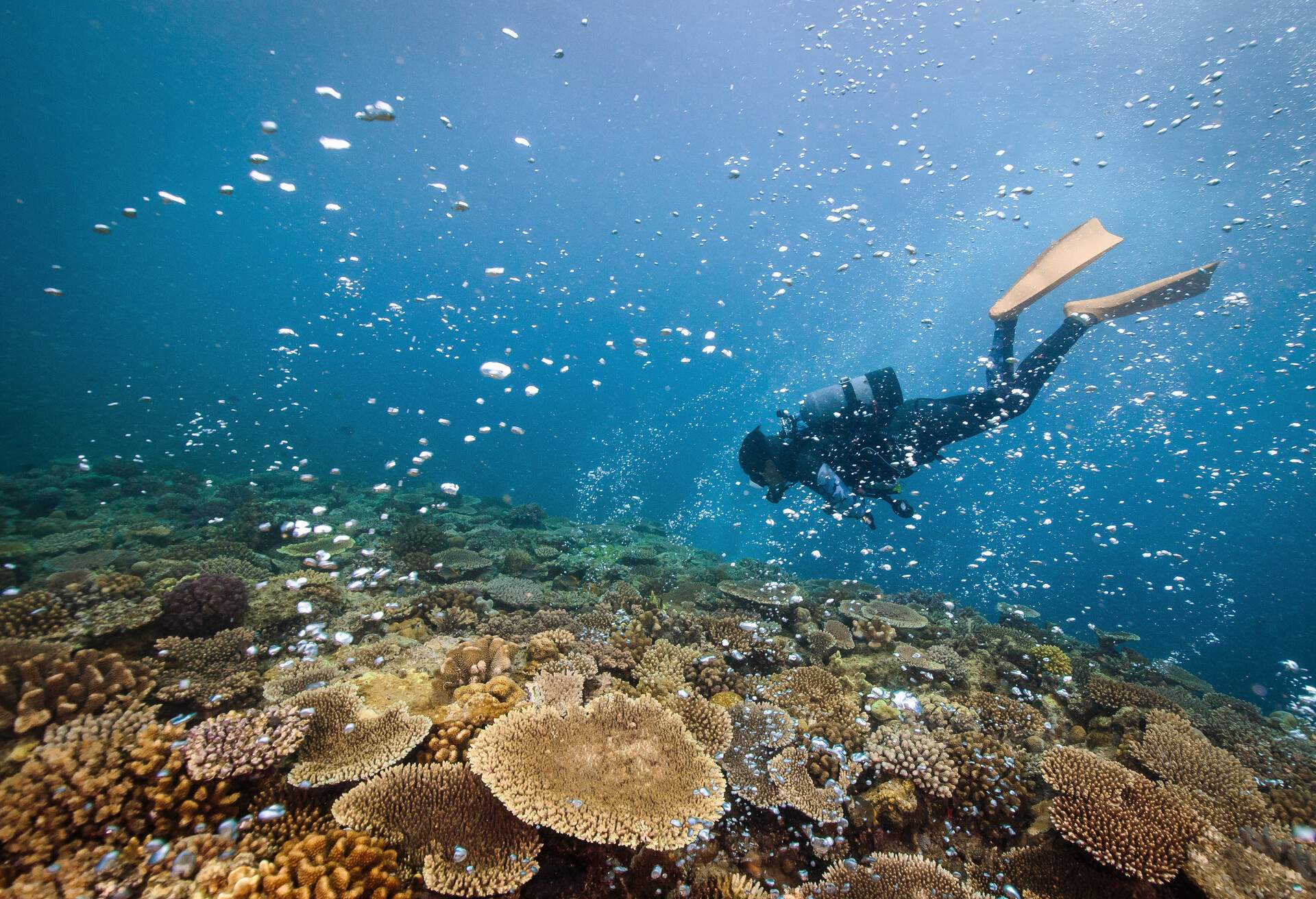 diving