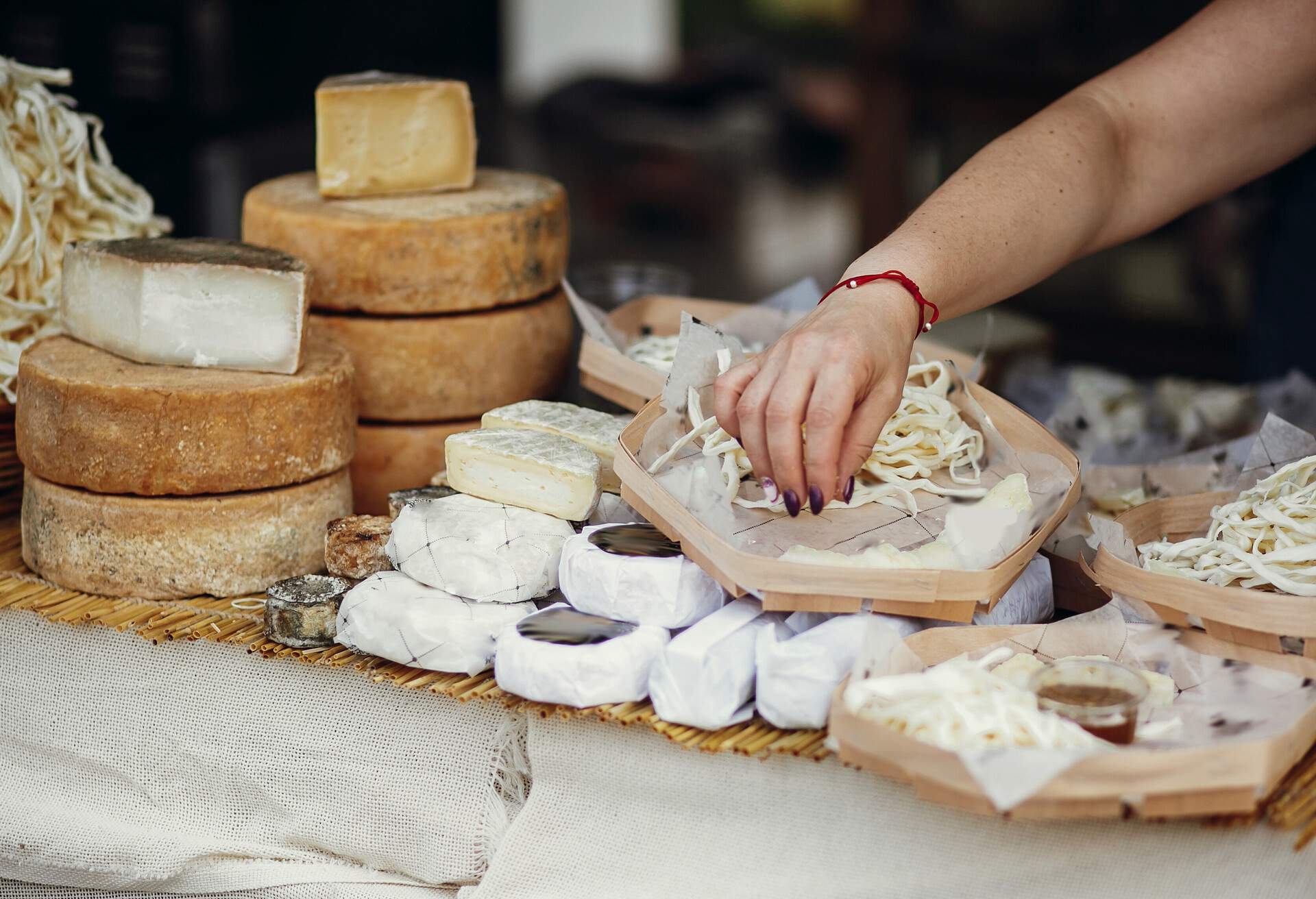 Cheese set on stand at street food festival in city. Different types of cheese, brie, blue,gorgonzola,goat, parmezan on wooden table.Street food festival