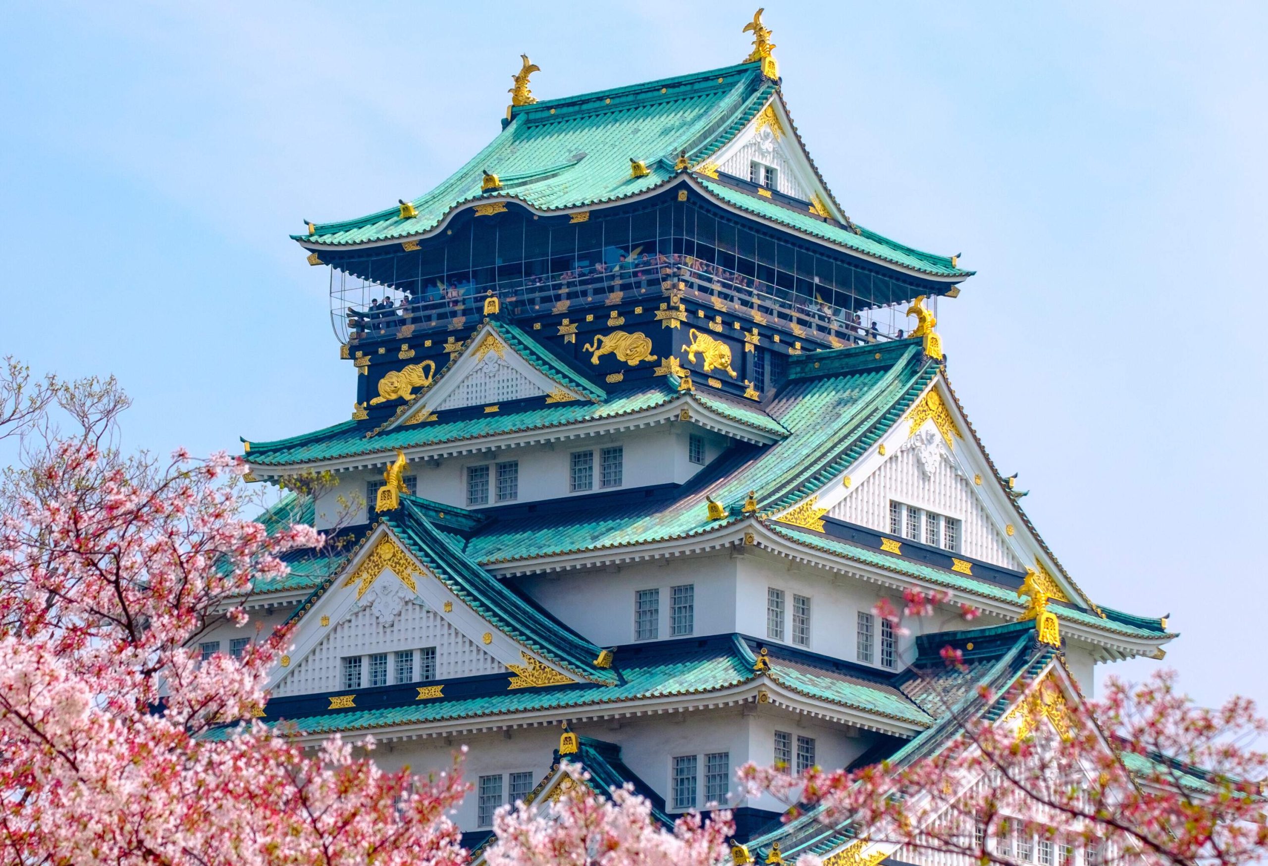 A castle with white stone walls and green roofs adorned with gold ornaments surrounded by blooming cherry trees.