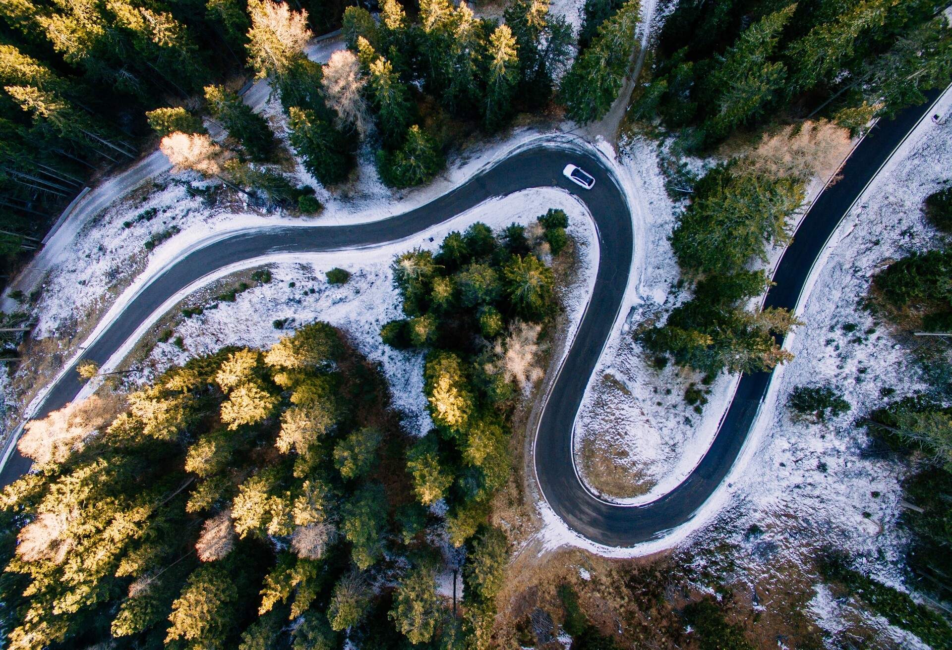 A white car pass through a winding road surrounded by tall trees during winter.