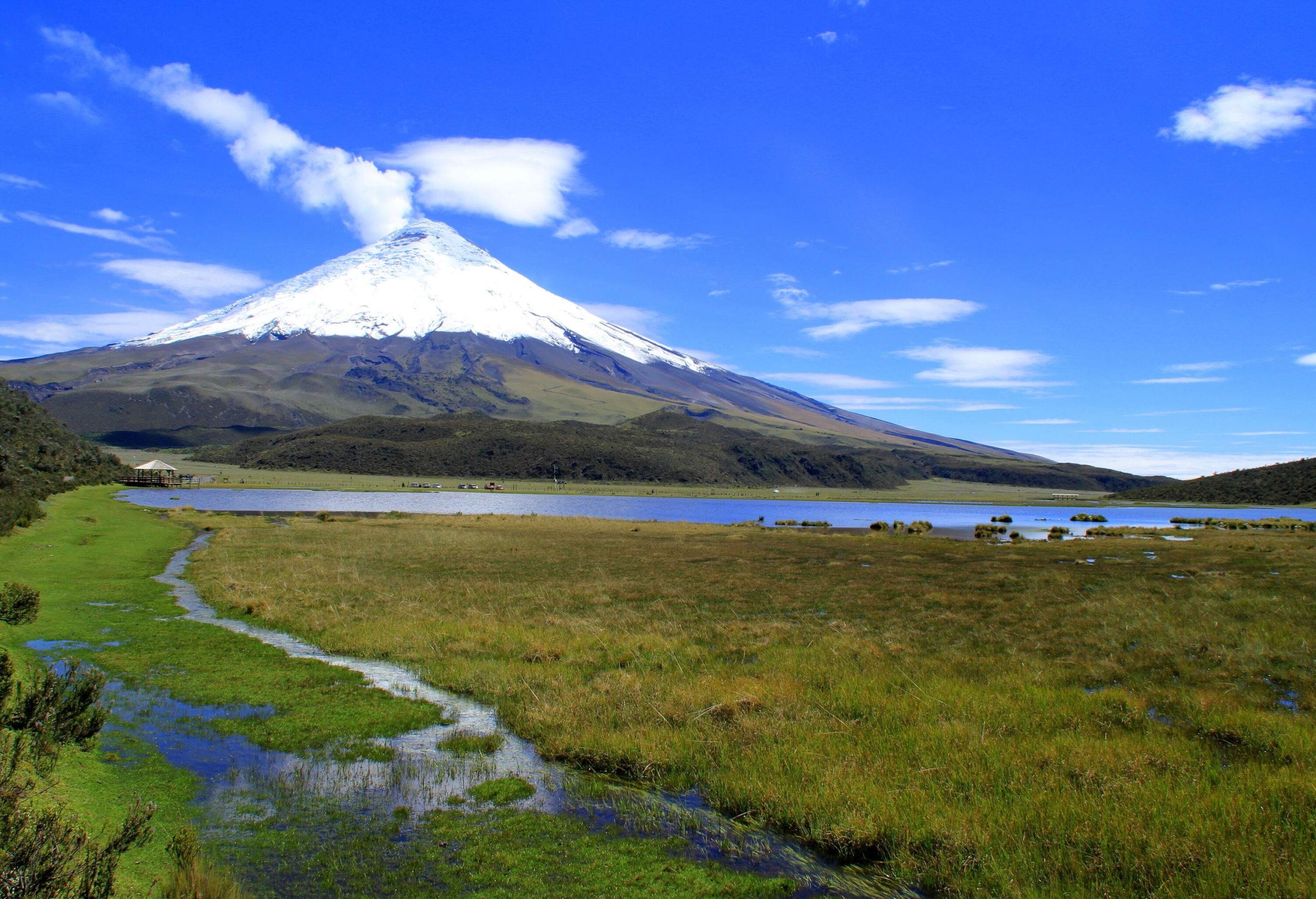 A large marsh beside a lagoon at the base of a snow-capped volcano.