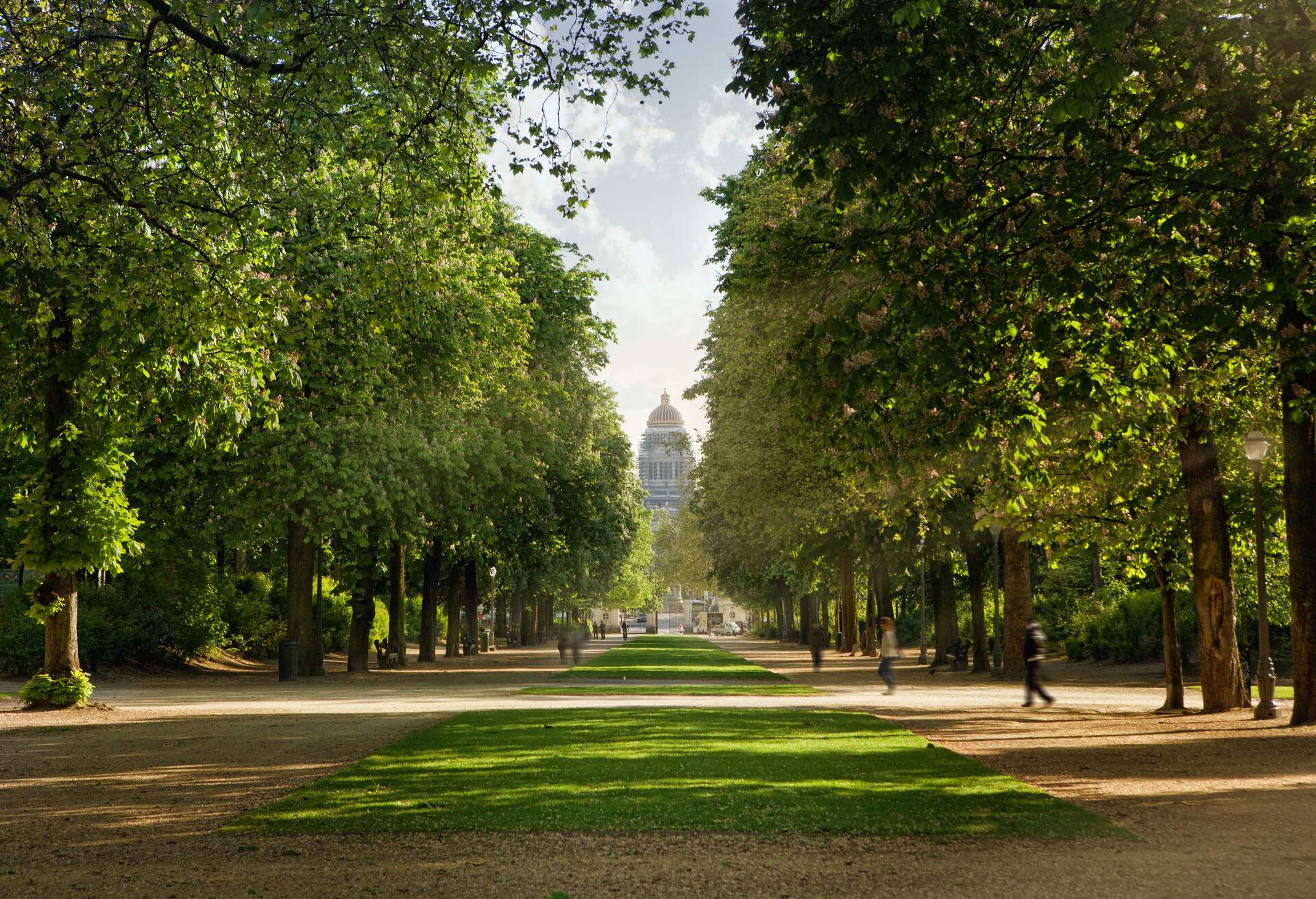 Dirt walkways in a park shaded by thick greenery.