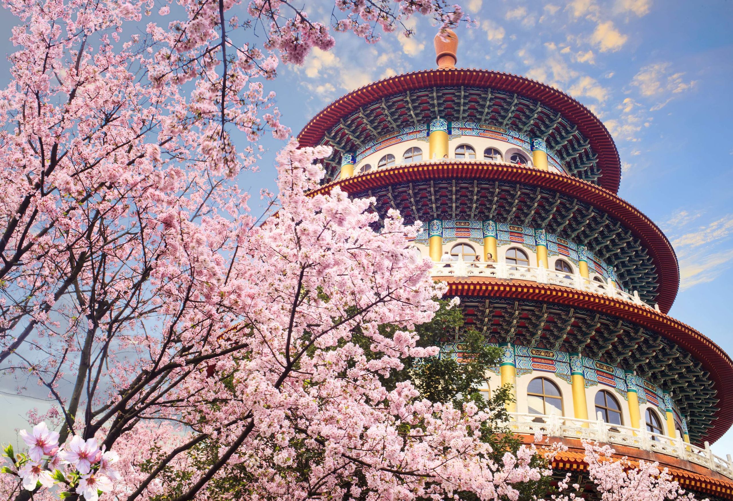 Lush cherry blossoms and a tiered round pagoda temple against a bright sky dotted with clouds.