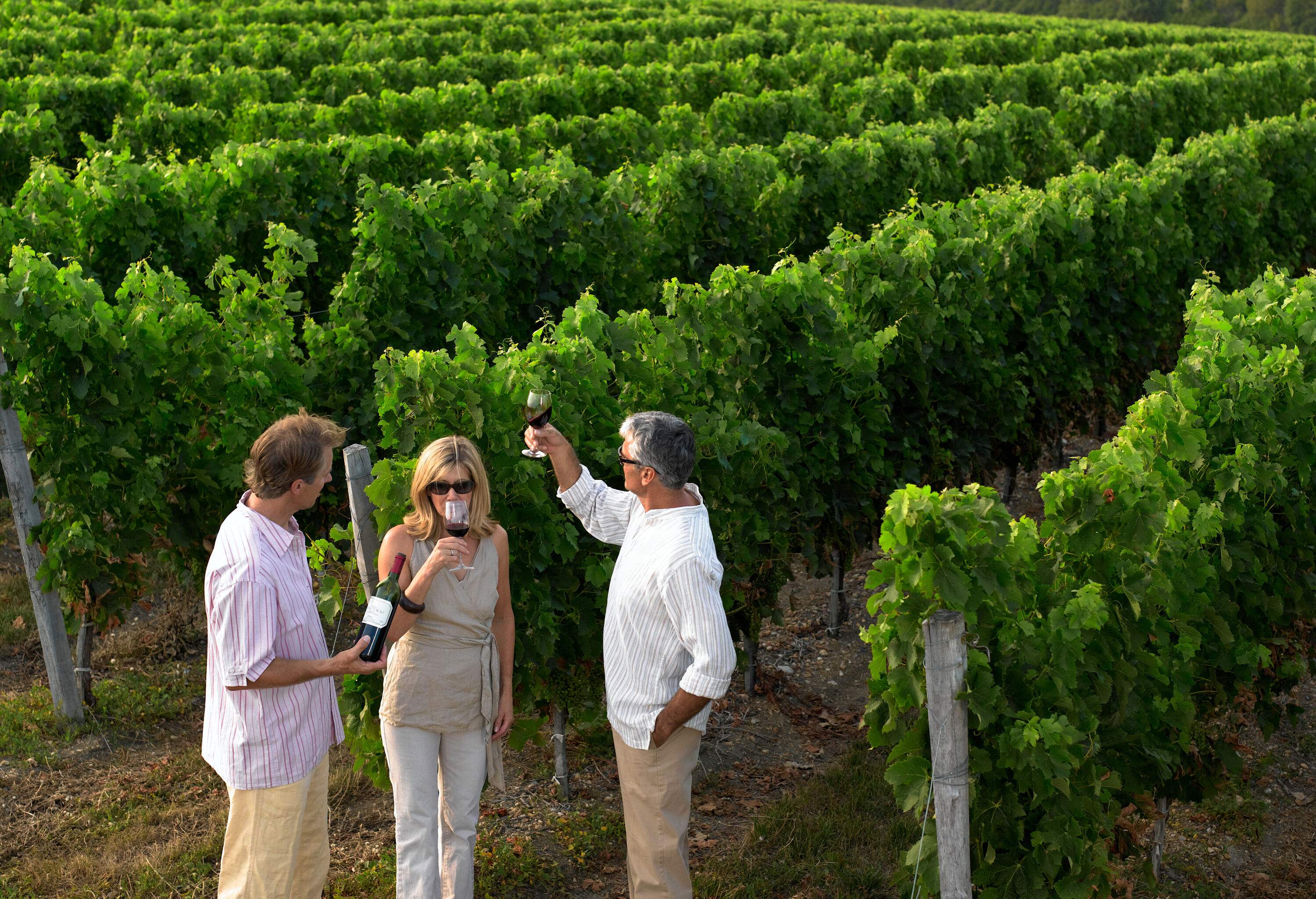 Three people enjoying a bottle of wine in a vineyard.