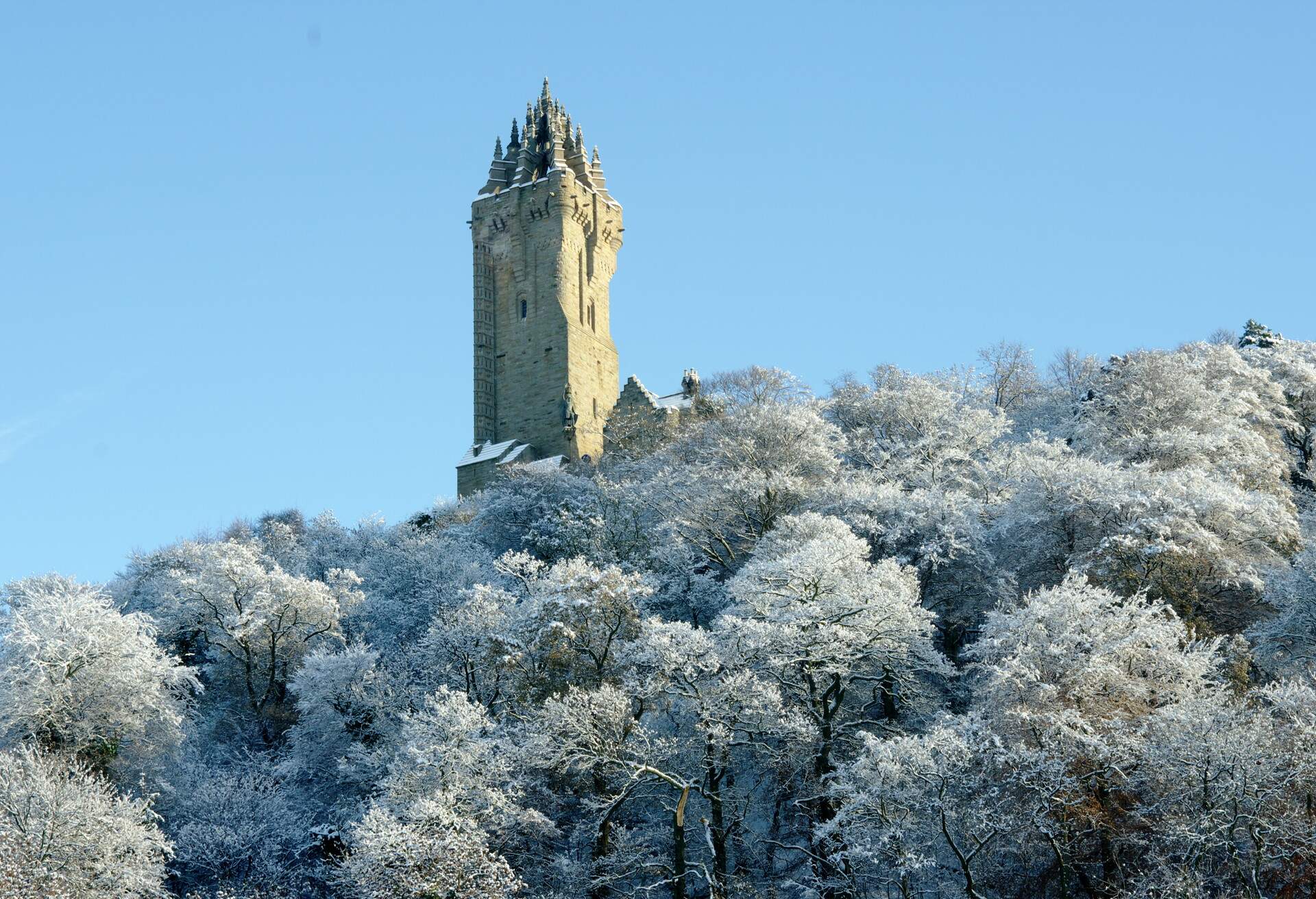 A castle-like tower rising above the trees with leaves glistening in frost.