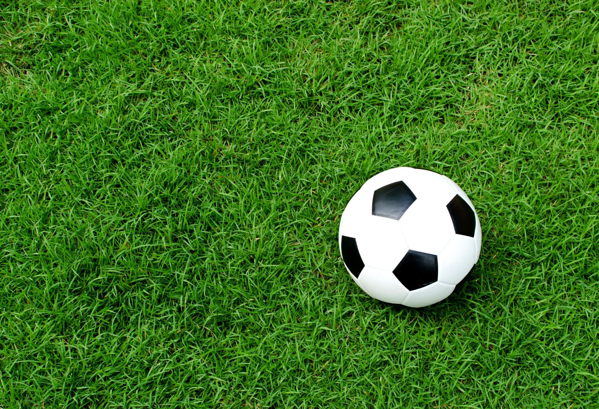 A soccer ball on a green field.