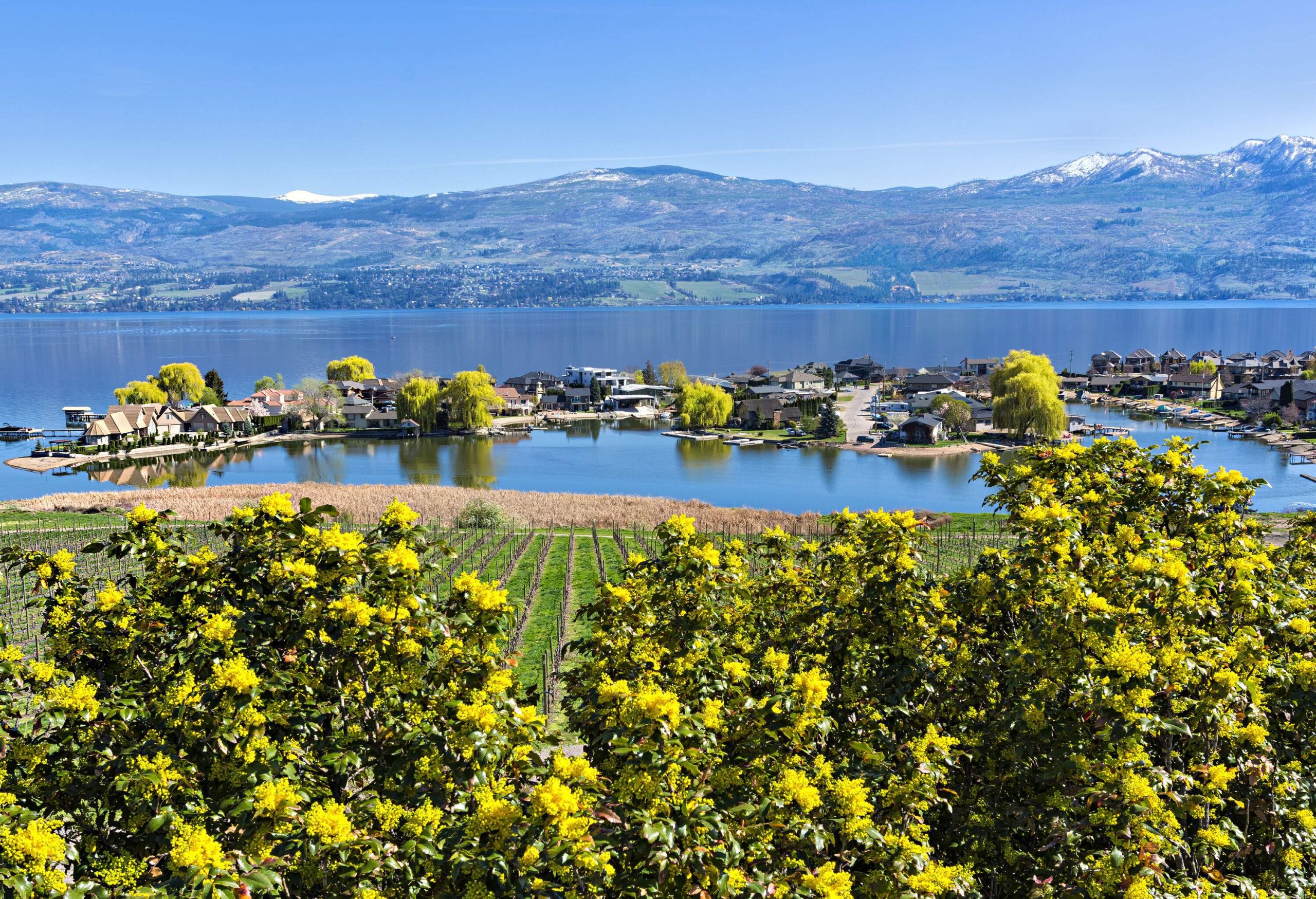 Lake houses in front of a small plantation and the mountains in the background.