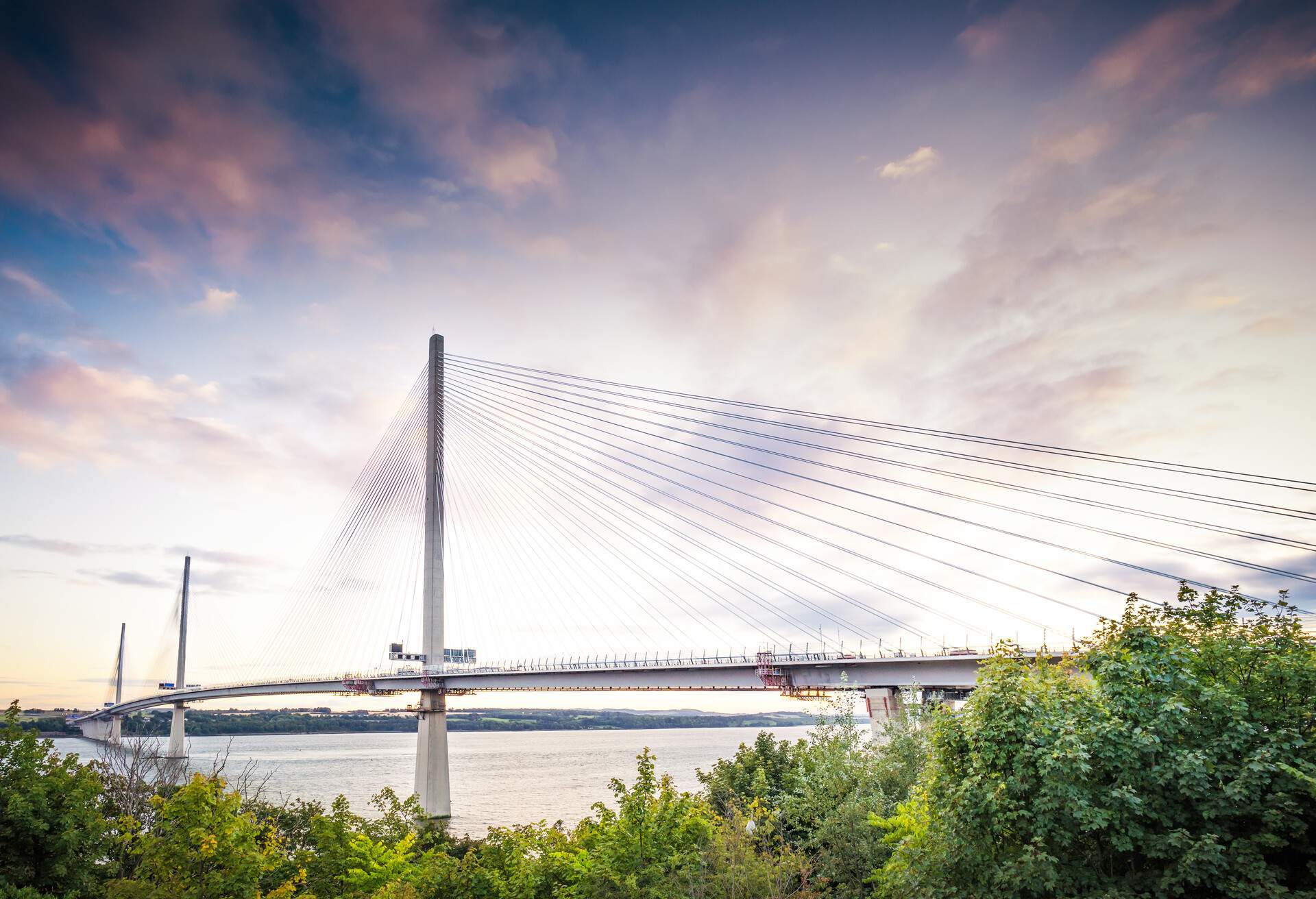 The foreground vegetation is set against a massive body of water that is crossed by a three-tower cable-stayed bridge.