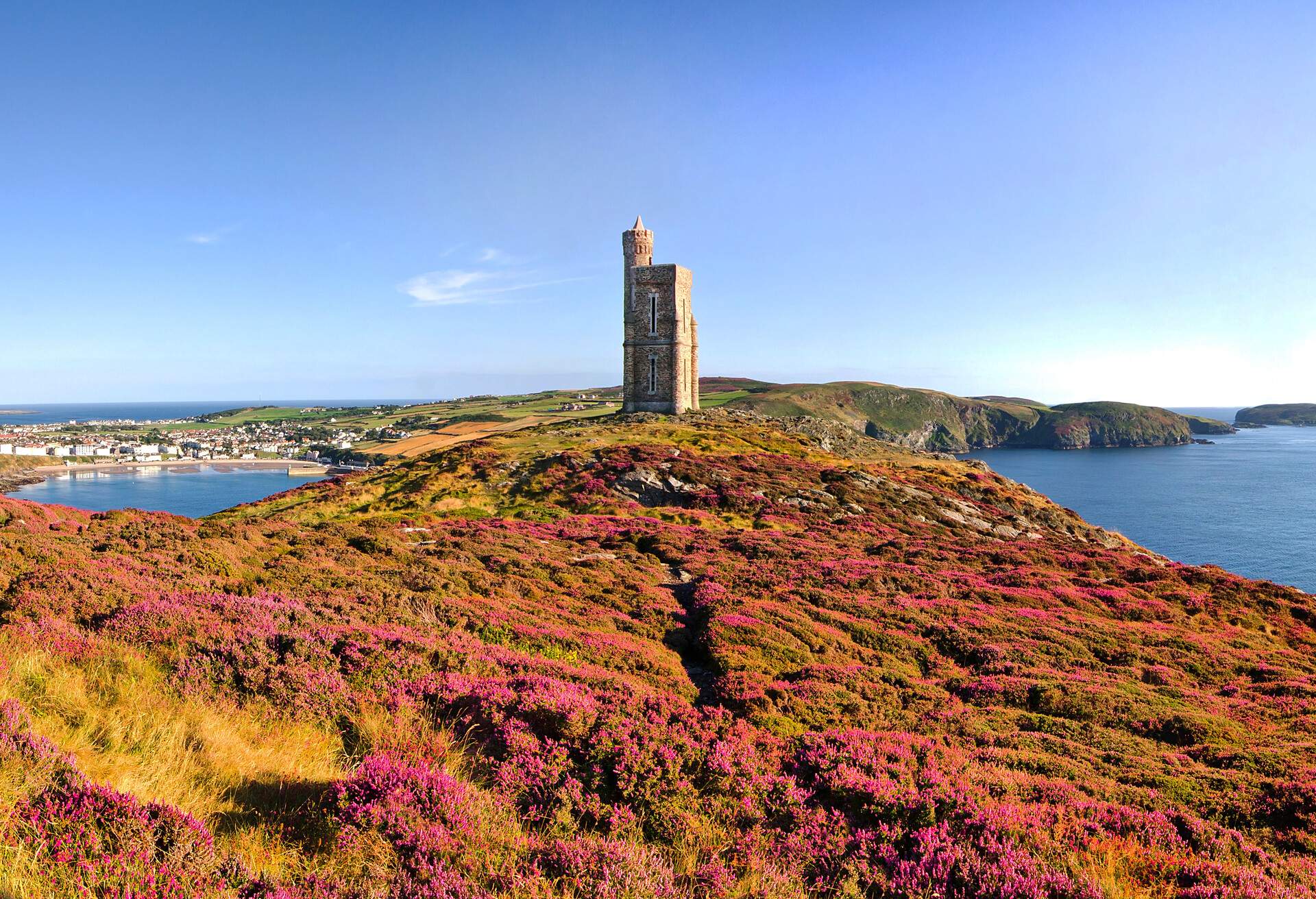 Heather in Bloom on Brada Head. Panorama of South of the Isle of Man with Milner Tower. Port Erin on the Right and Calf of Mann on the left.