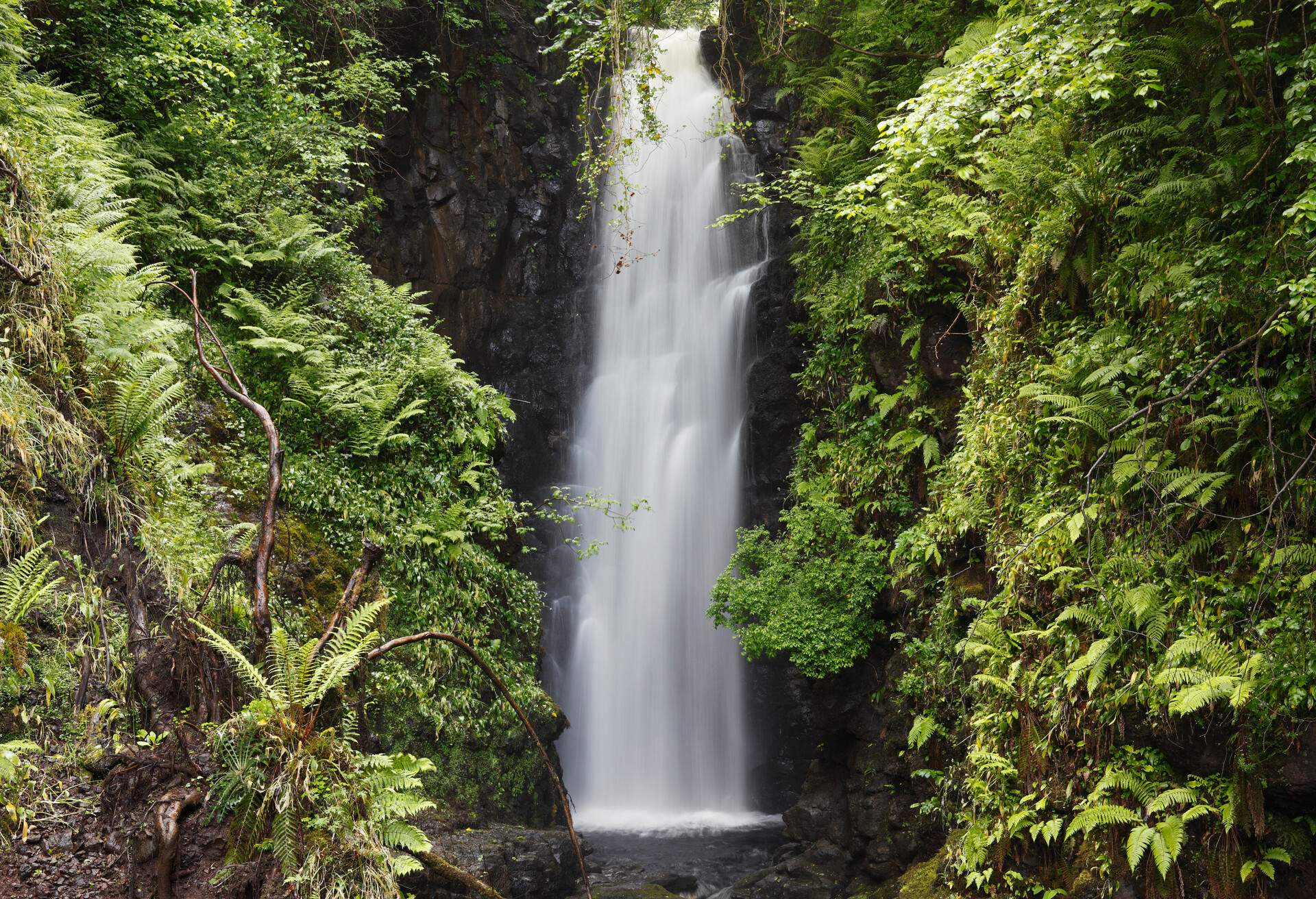 The waterfall Cranny Falls near Carnlough, County Antrim, Northern Ireland
