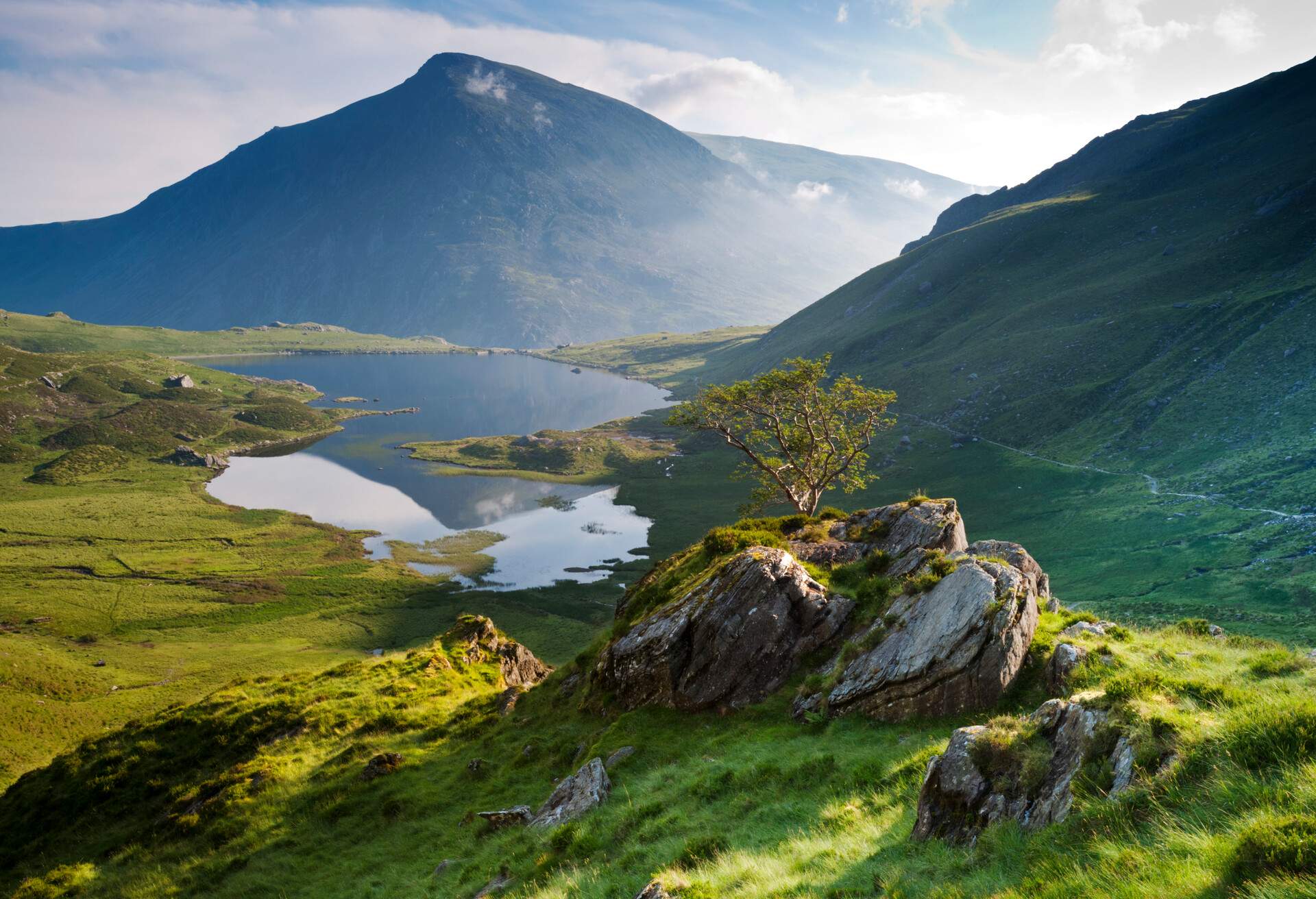 A rocky summit with a tree overlooks a calm lake at the base of massive mountains.