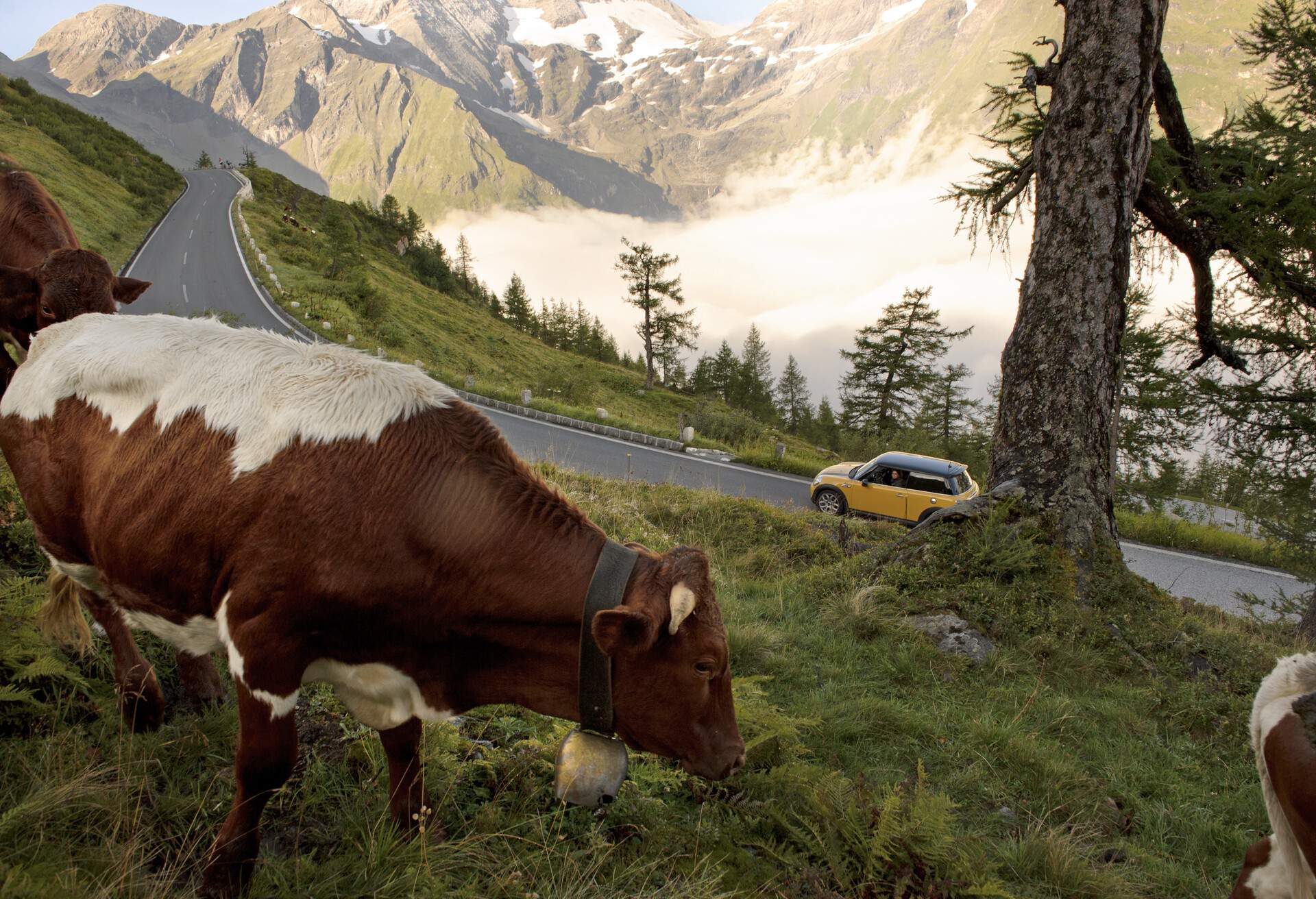 Alpine road, Austria.