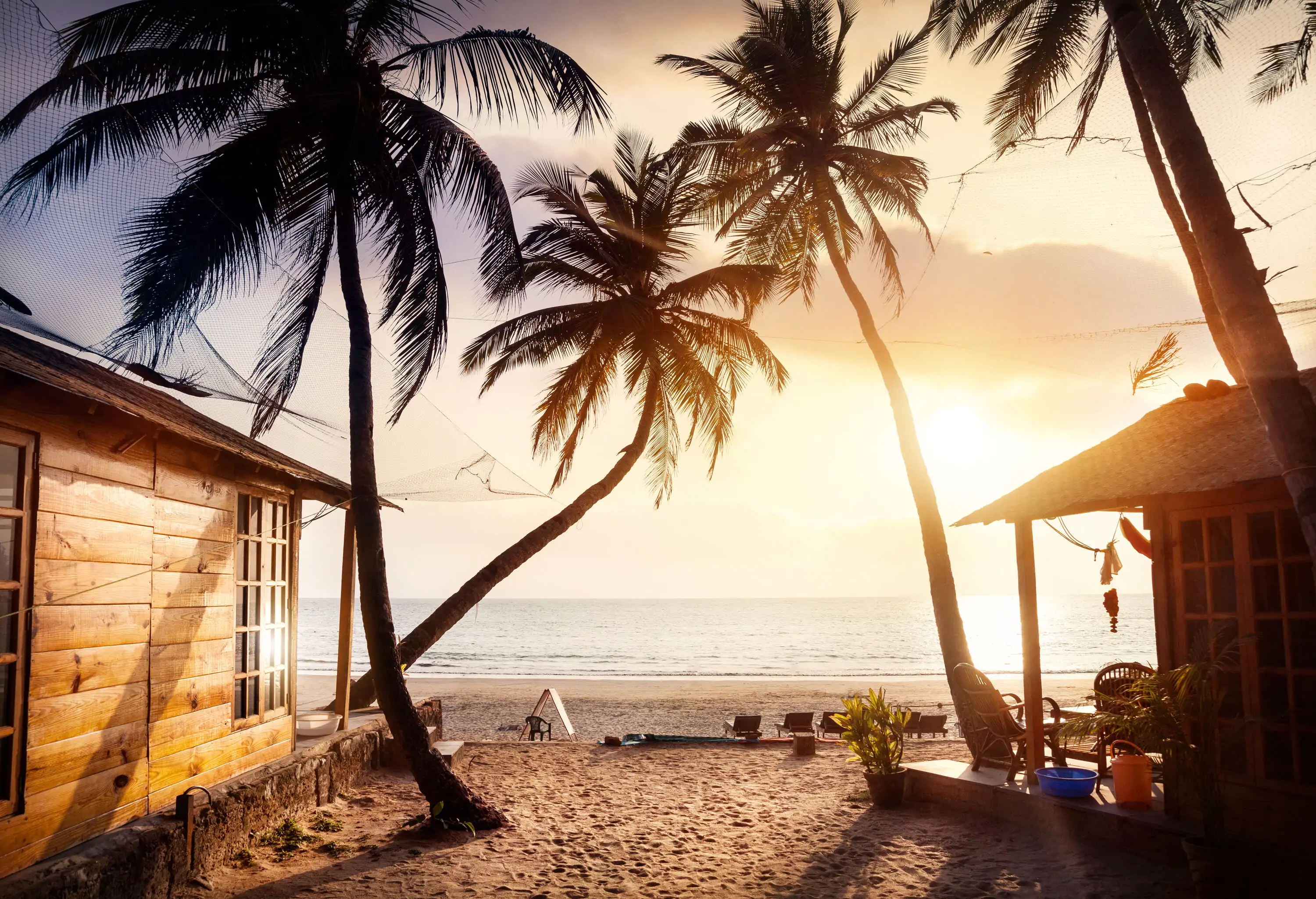 Beach cottages under the canopy of palm trees during sunset.
