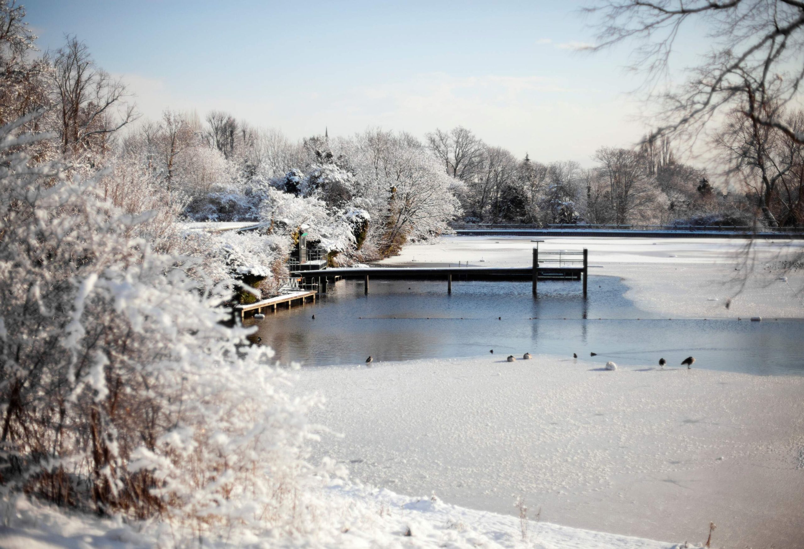 A wooden pier above an icy pond surrounded by a frosted forest.