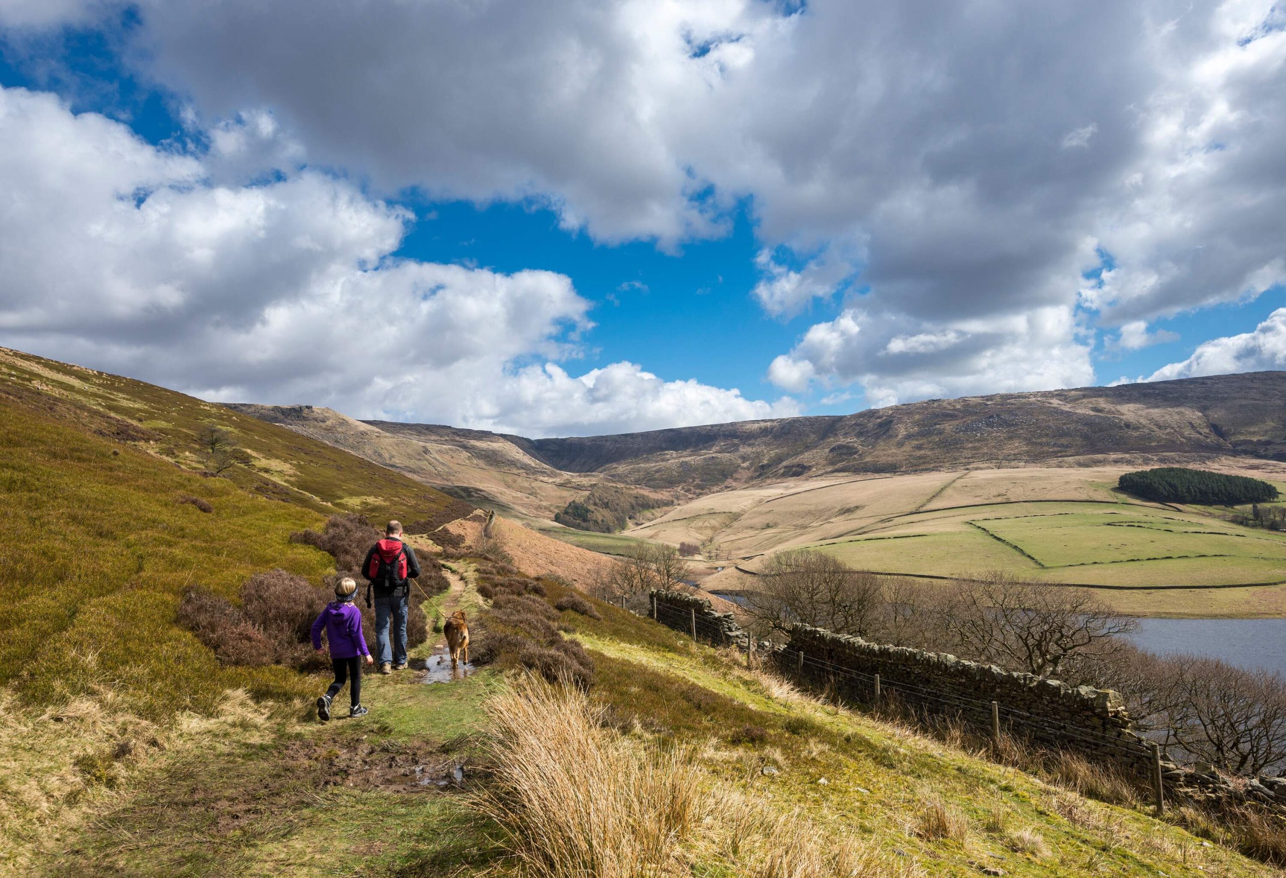 A man walking his dog down a hillside trail with a young child following behind them.