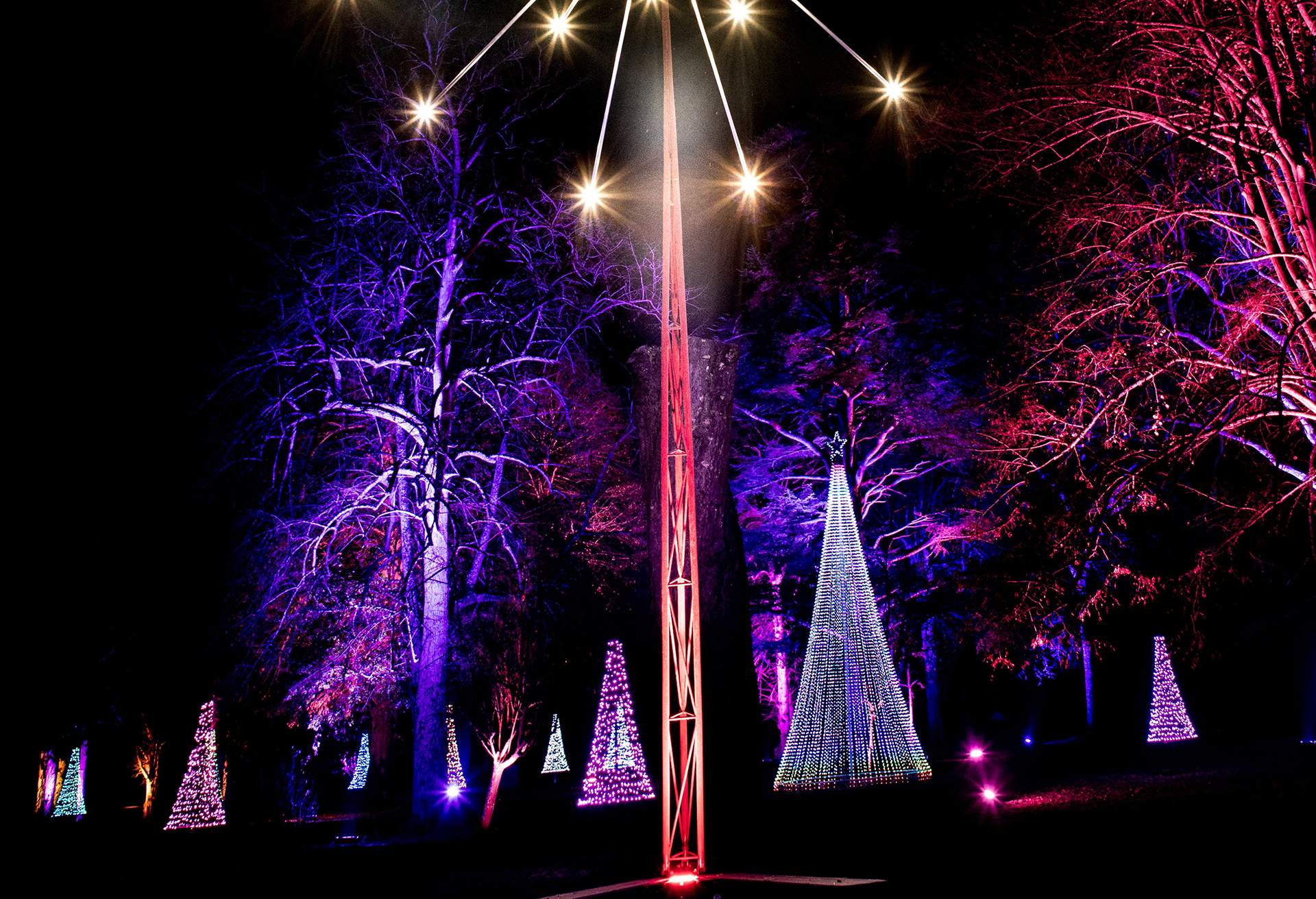 BLENHEIM PALACE at Christmas with festive decorations