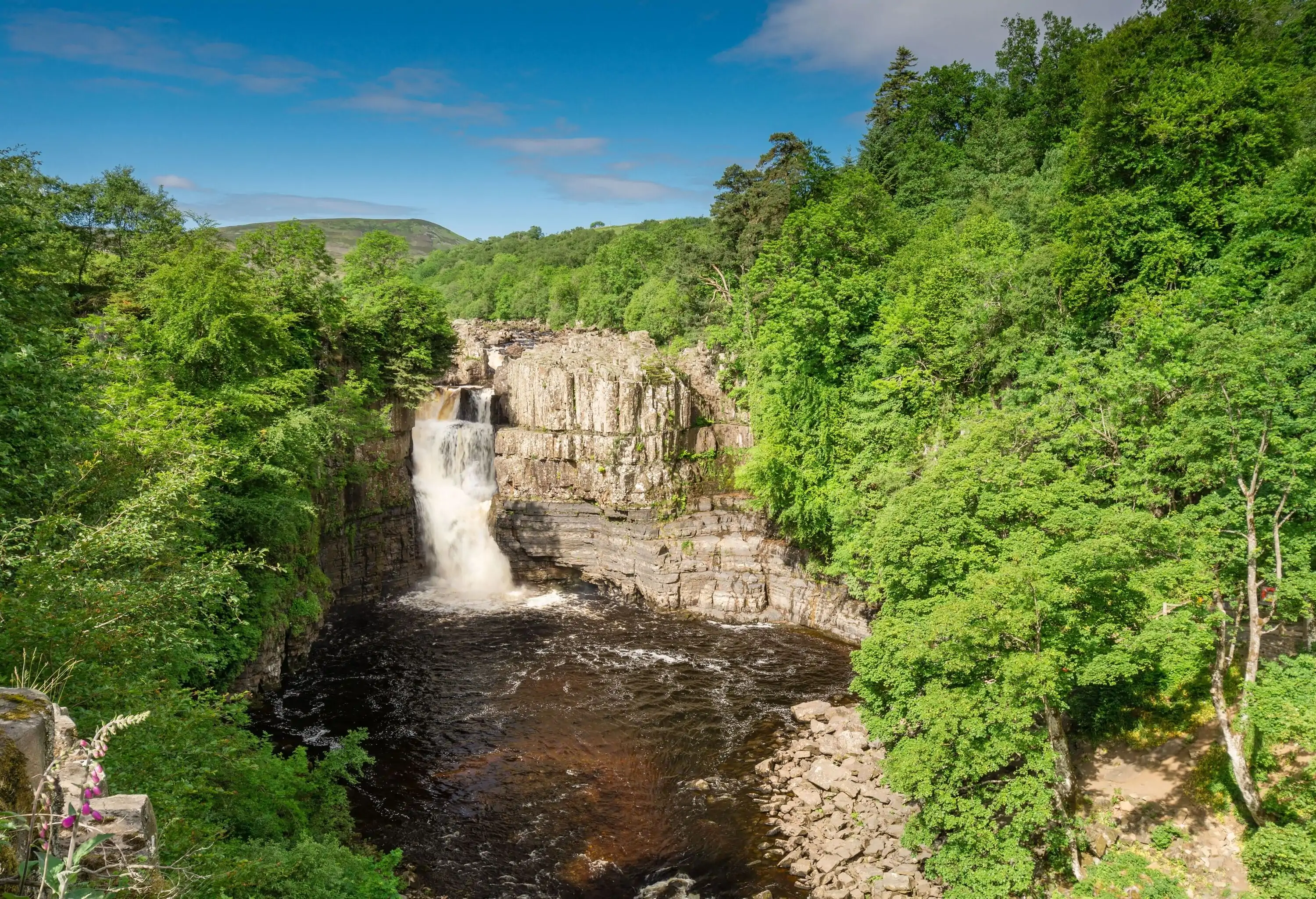 A gushing waterfall from the cliff down to the river in the middle of a lush forest.