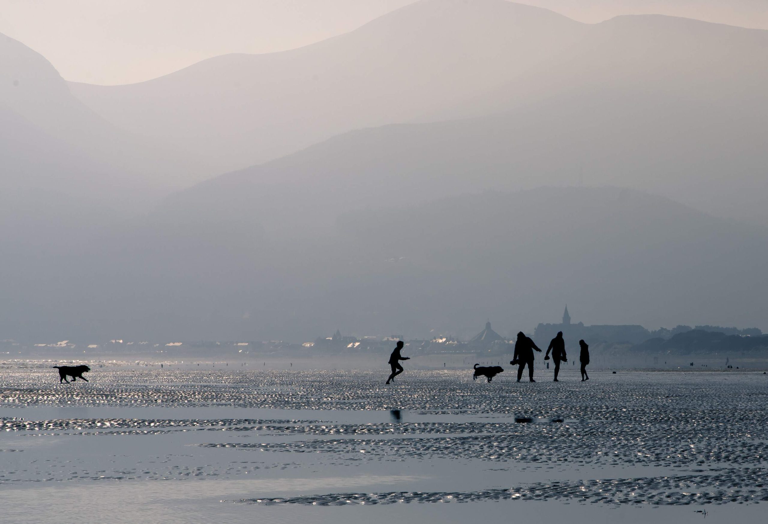 Silhouettes of two teenage children (a boy and a girl), two adults (a man and a woman) and two dogs walking on a beach. Murlough Beach (National Trust), near Newcastle, County Down, Northern Ireland. In the background are the Mourne Mountains.