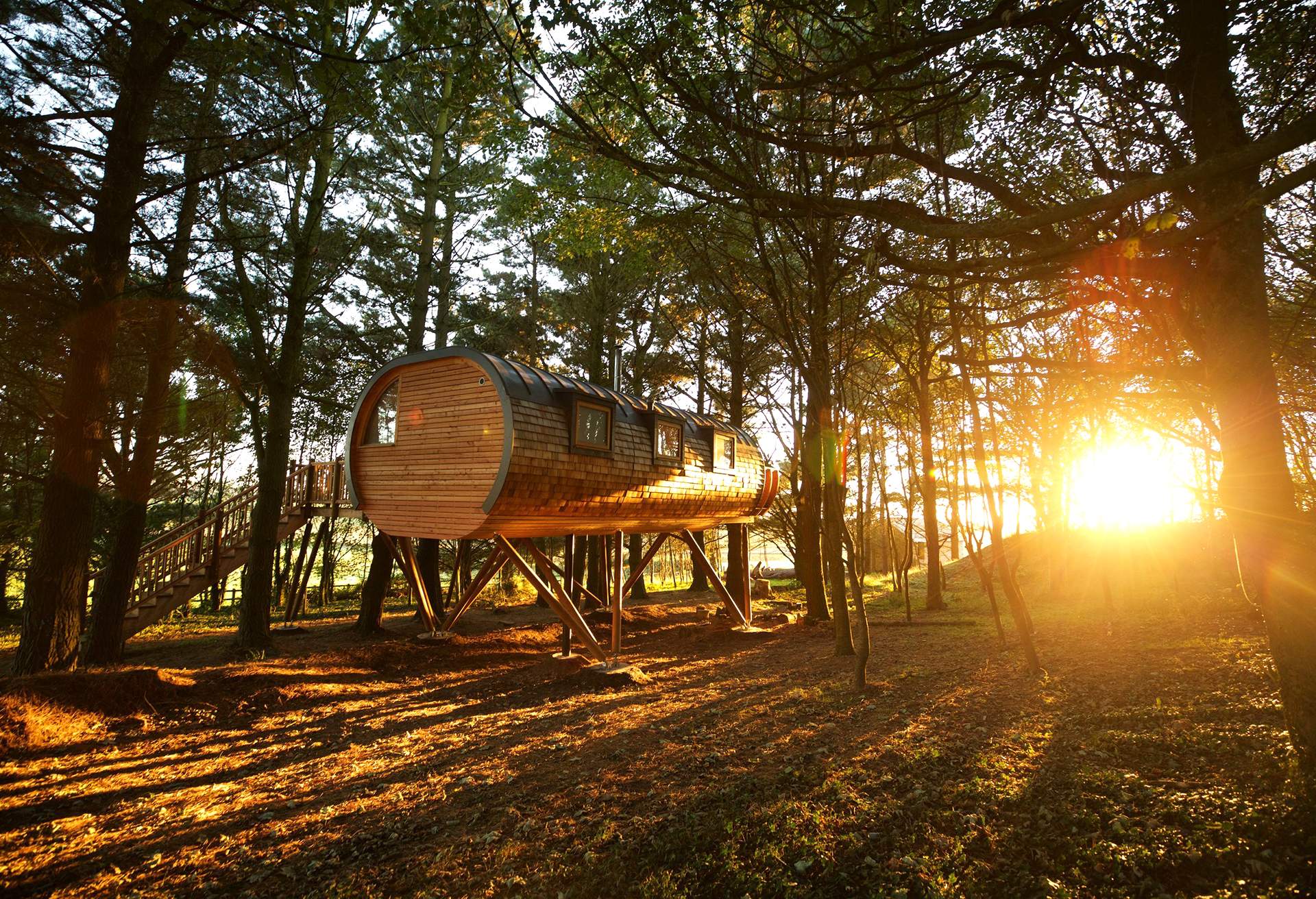Glamping site in a wood at sunrise