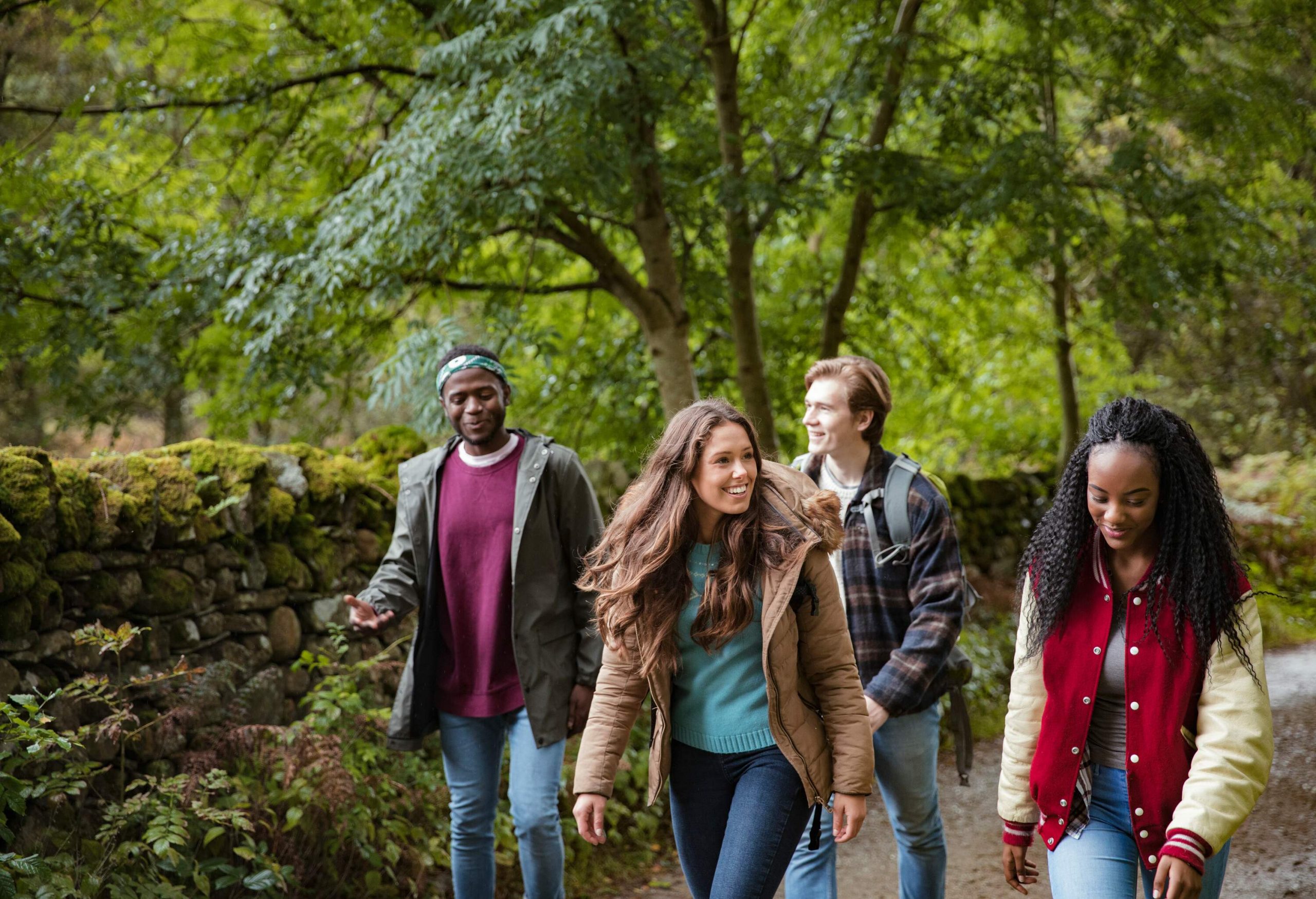 Four friends in casual clothes stroll along a forest trail.