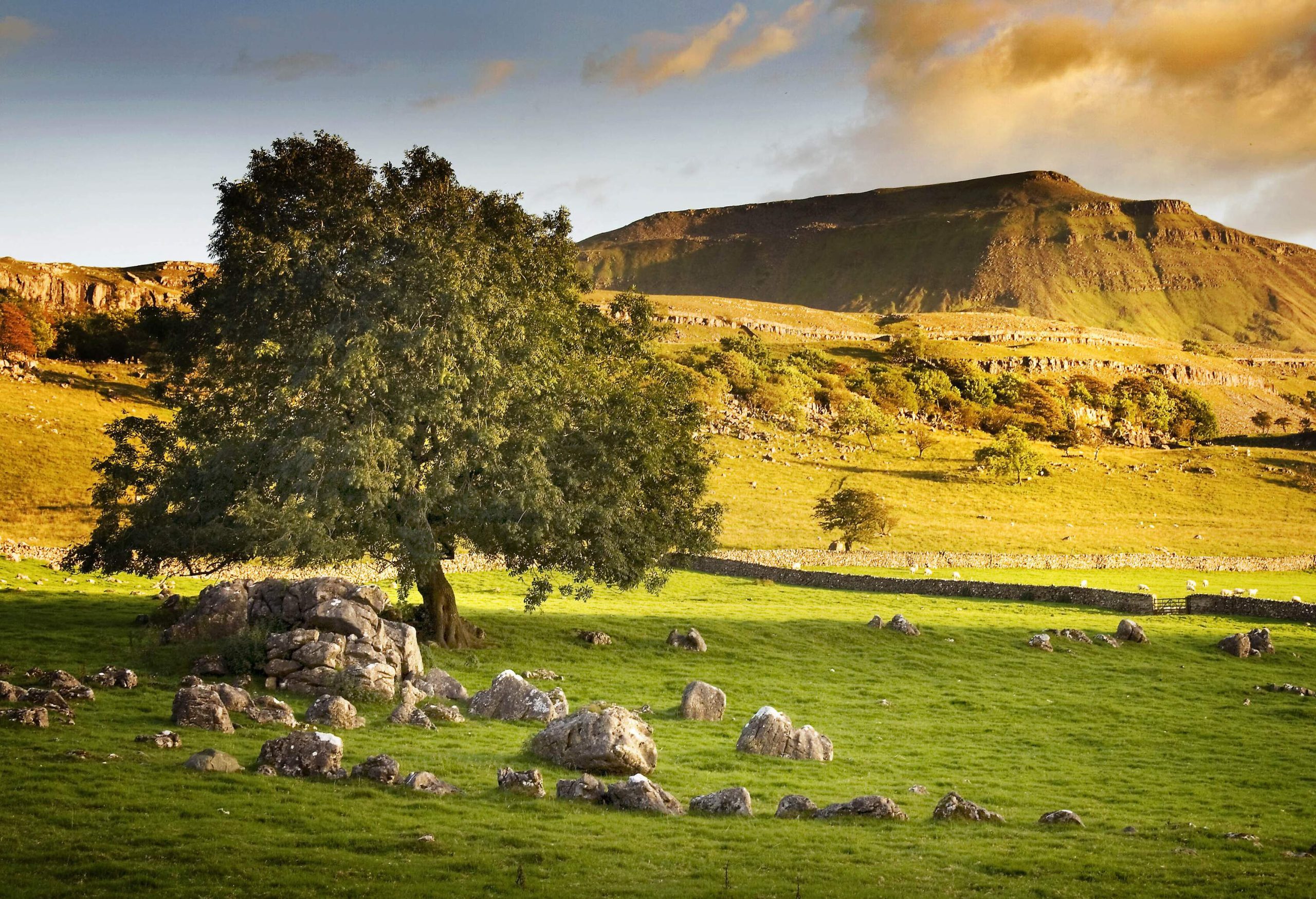 Trees and limestones dot the broad grasslands, while a verdant hill bathed in sunlight can be seen off in the distance.