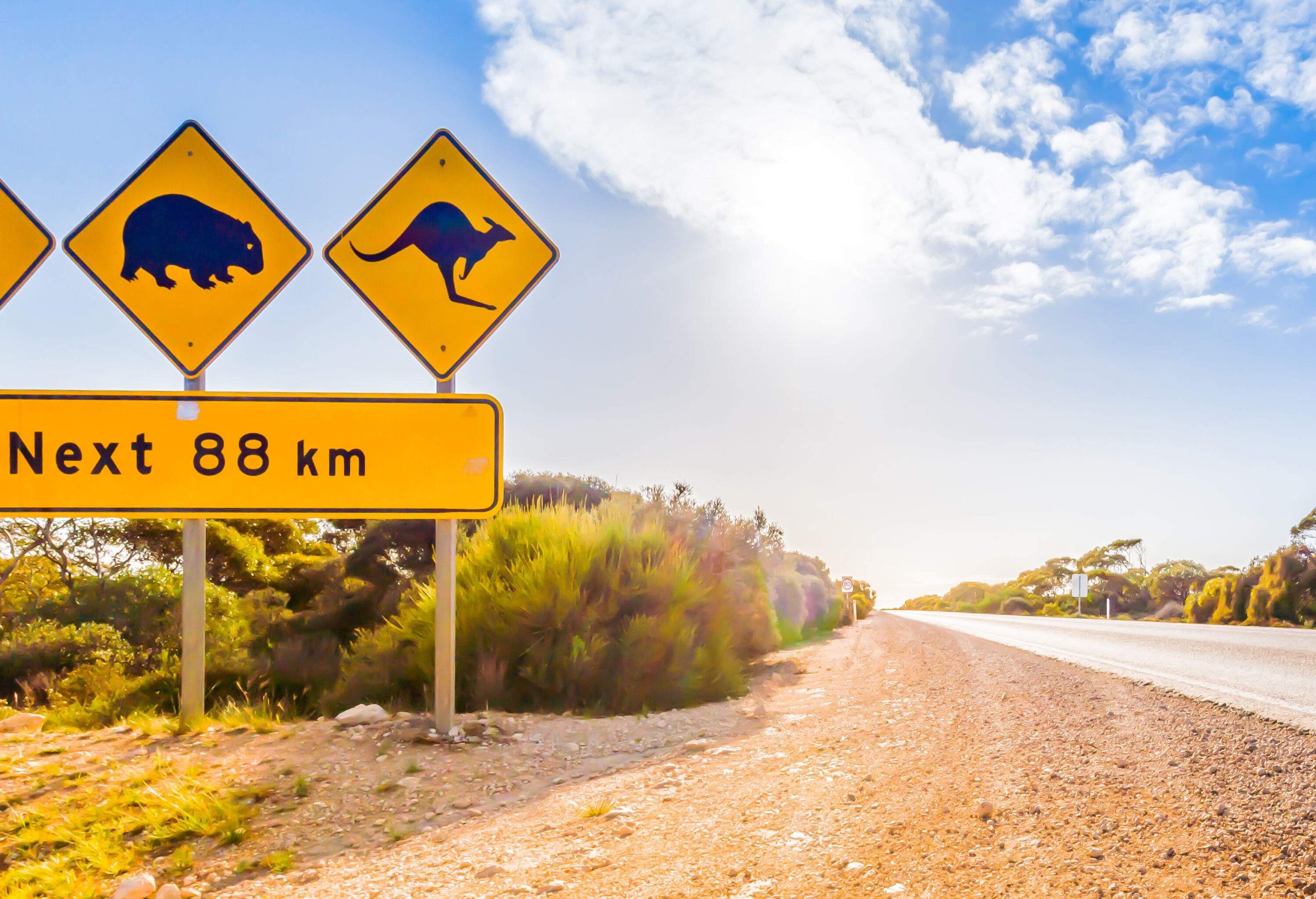 Warning signage of crossing Kangaroo, Emu and Camel by the road.