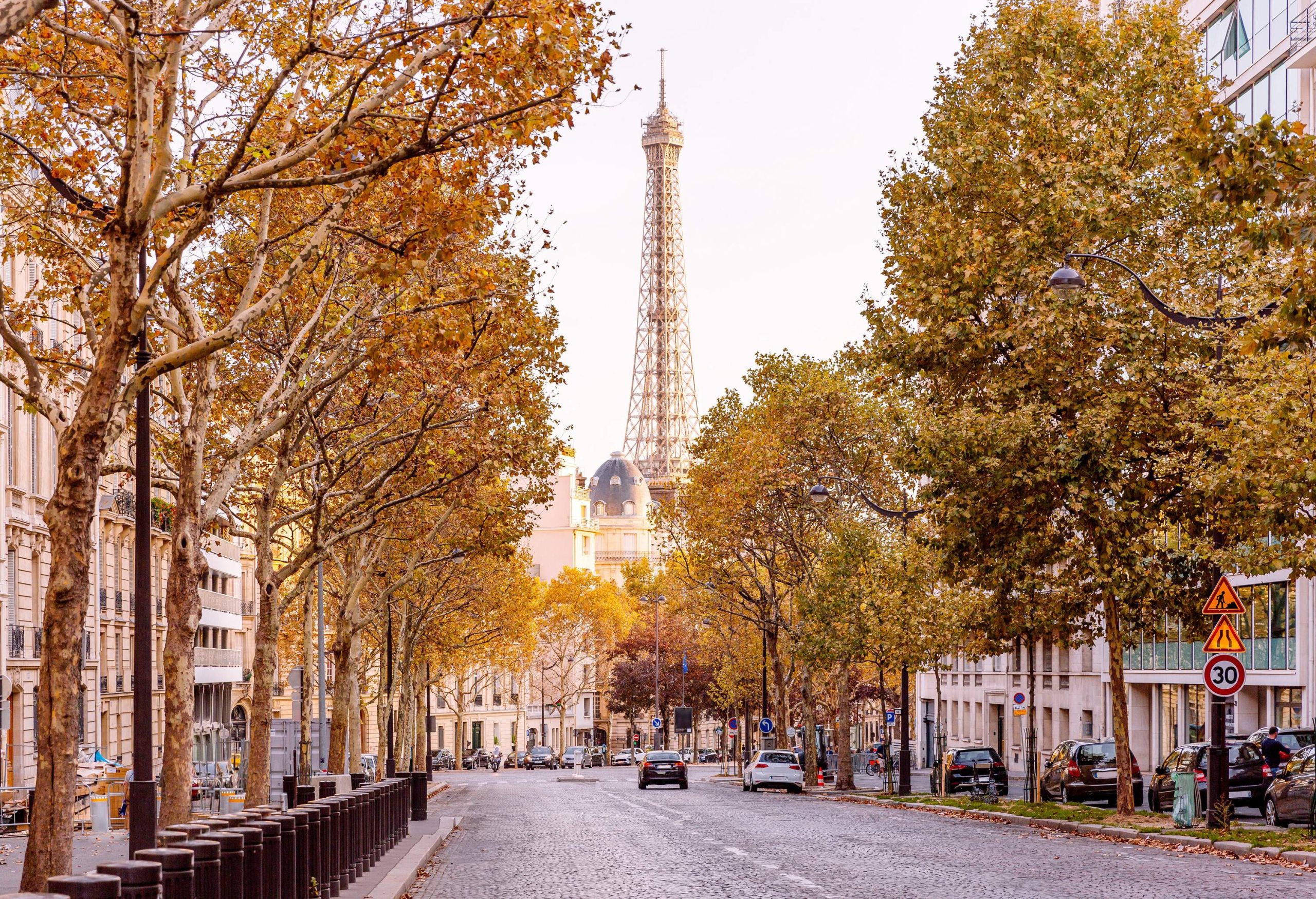 Cars parked along a cobbled street under the autumn streets with a view of a tower.