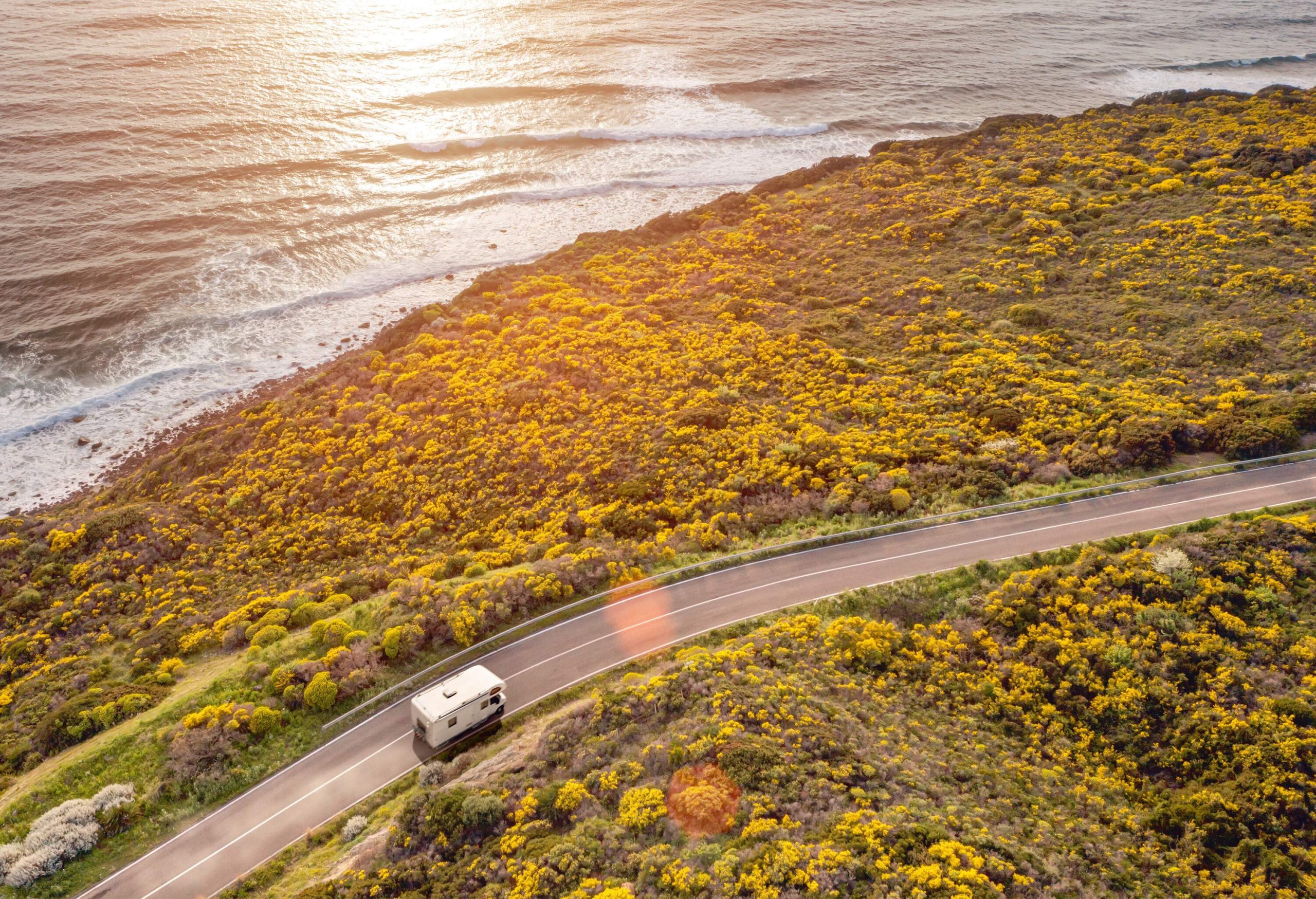 A camper van travelling down a road through a shrubland by the beach.