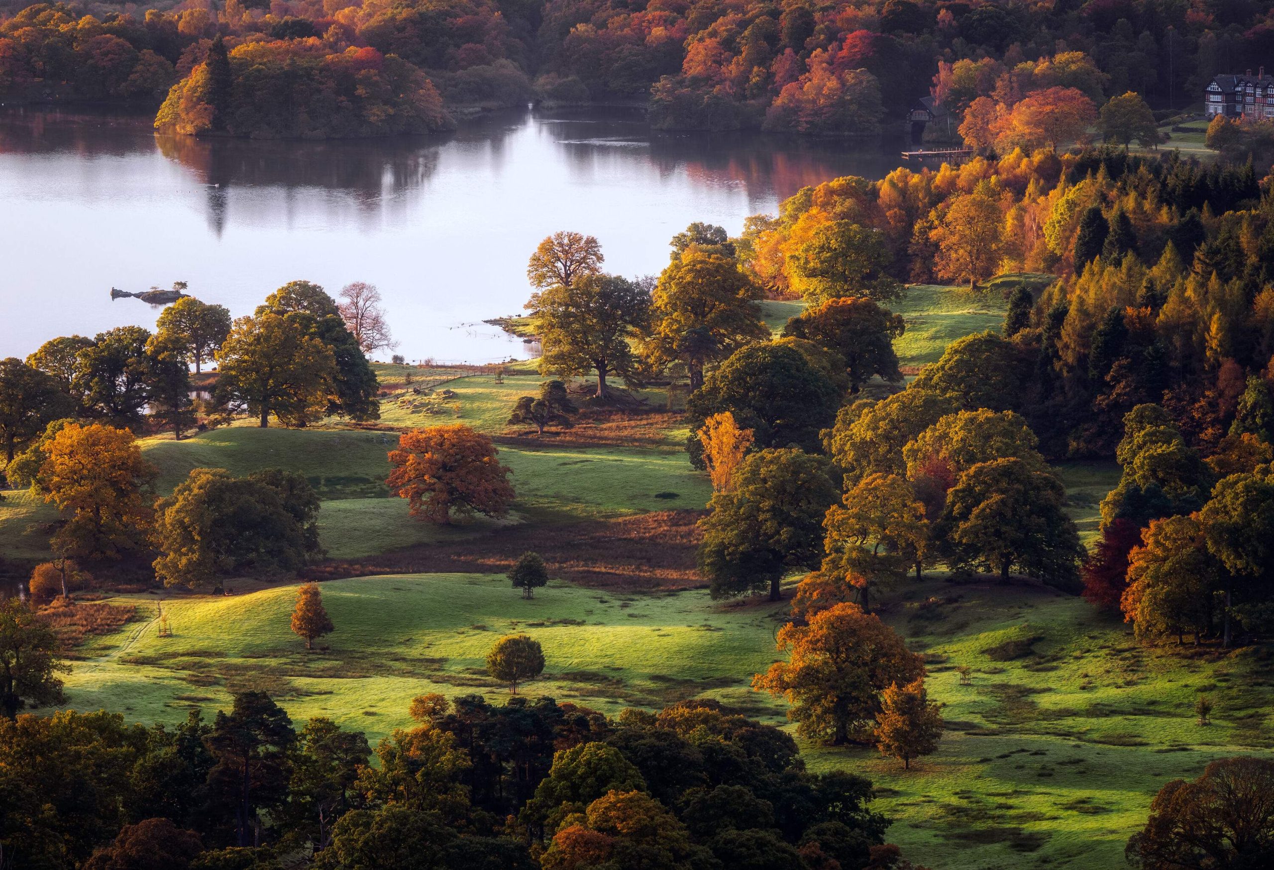 Autumnal trees in full colour on a meadow next to a lake.