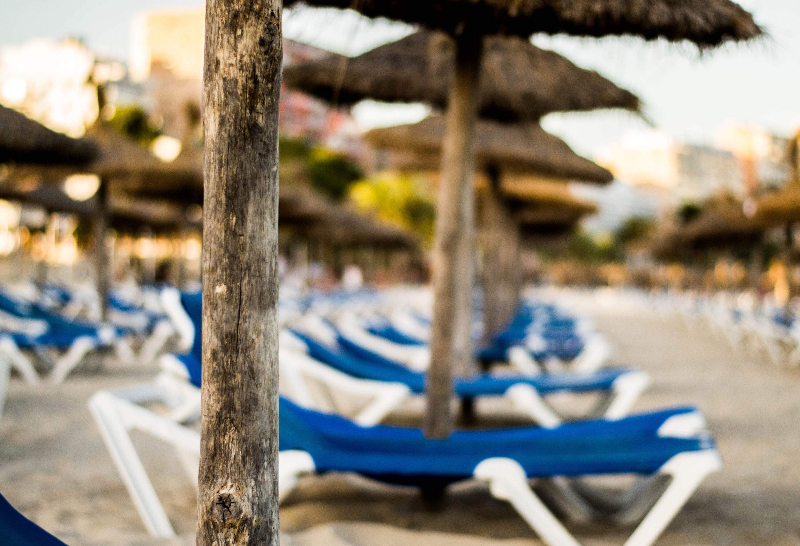 Bokeh of rows of blue beach chairs and umbrellas on the shore of the beach.
